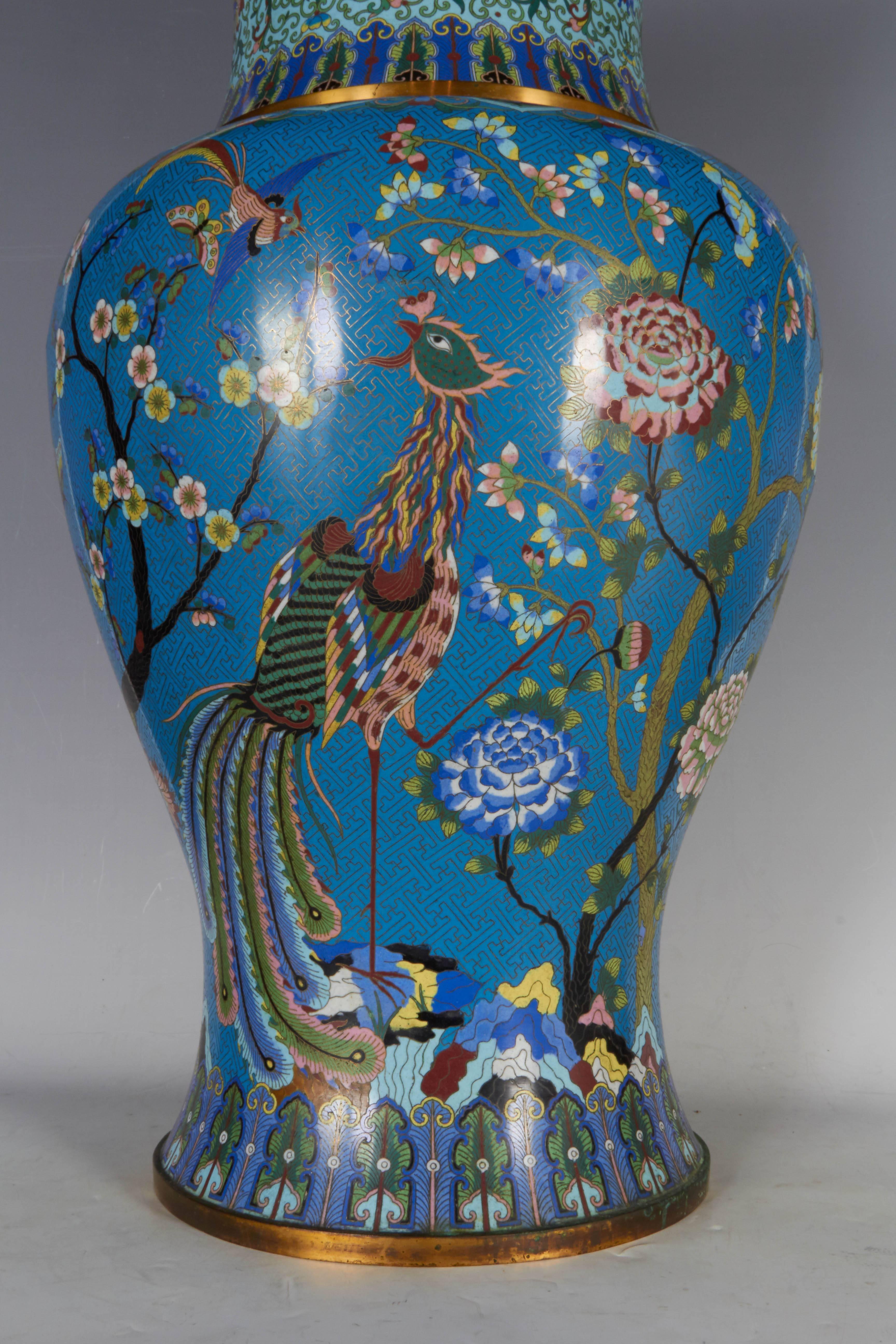 Vase ou urne massive chinoise en cloisonné bleu représentant un phénix impérial coloré avec des fils de bronze doré parmi des oiseaux et des papillons dans un jardin impérial de fleurs de magnolia, de chrysanthèmes, avec des tiges et des feuilles