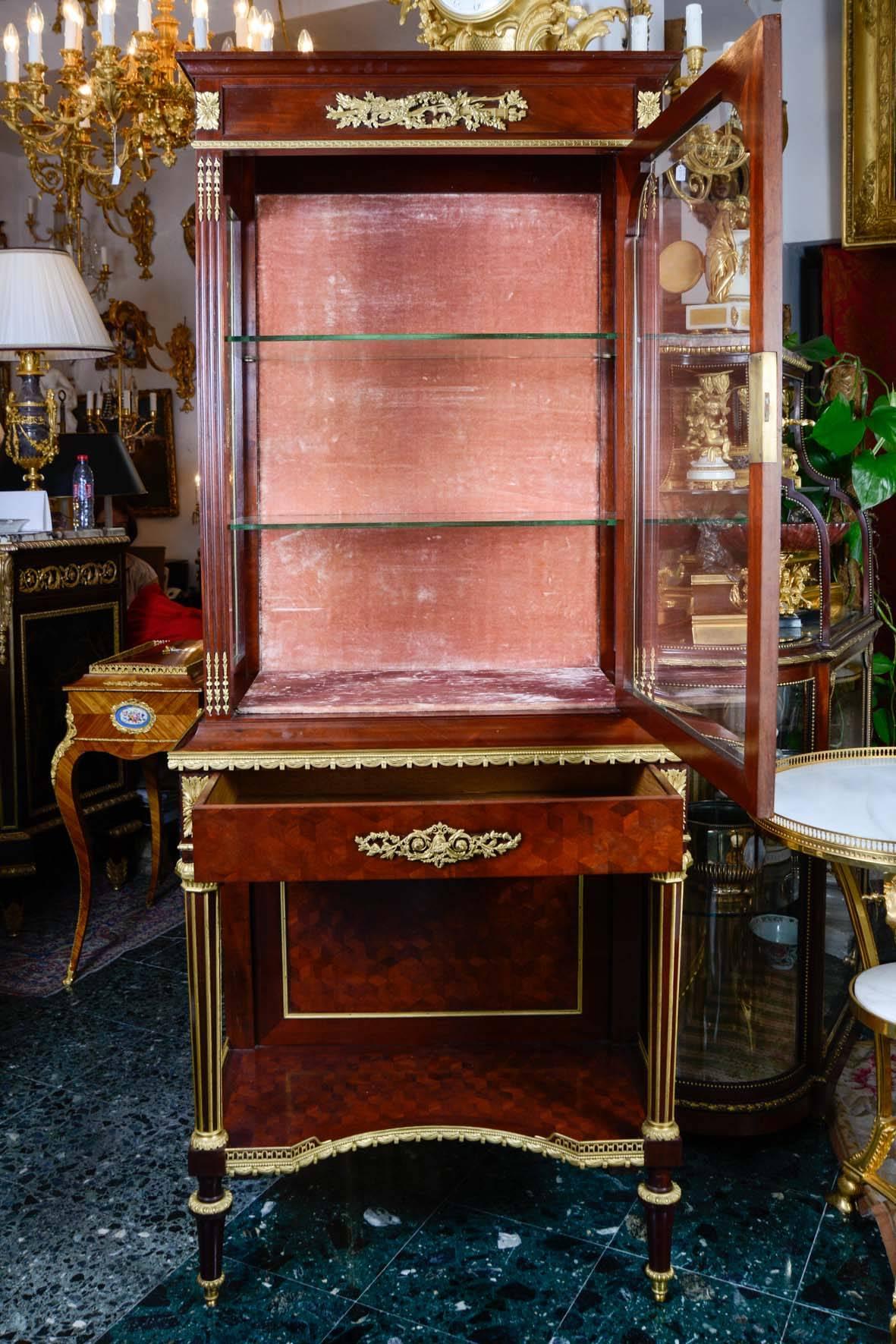 Mahogany Vitrine in the Louis XVI Style For Sale