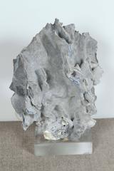 Organic Coral Specimen Mounted on a Lucite Base