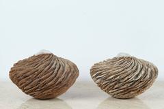 Pair of Wonderful Sculpted Ceramic Vases by Anne Goldman