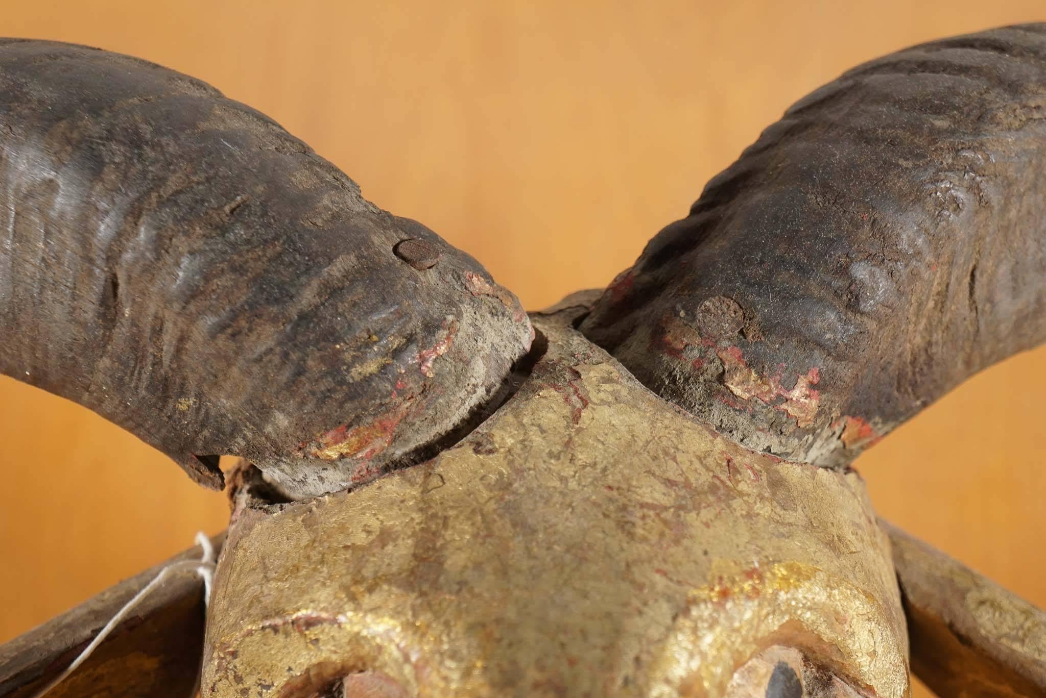 Indonesian Carved Wood and Gold Washed Ram's Head, circa 1920 1