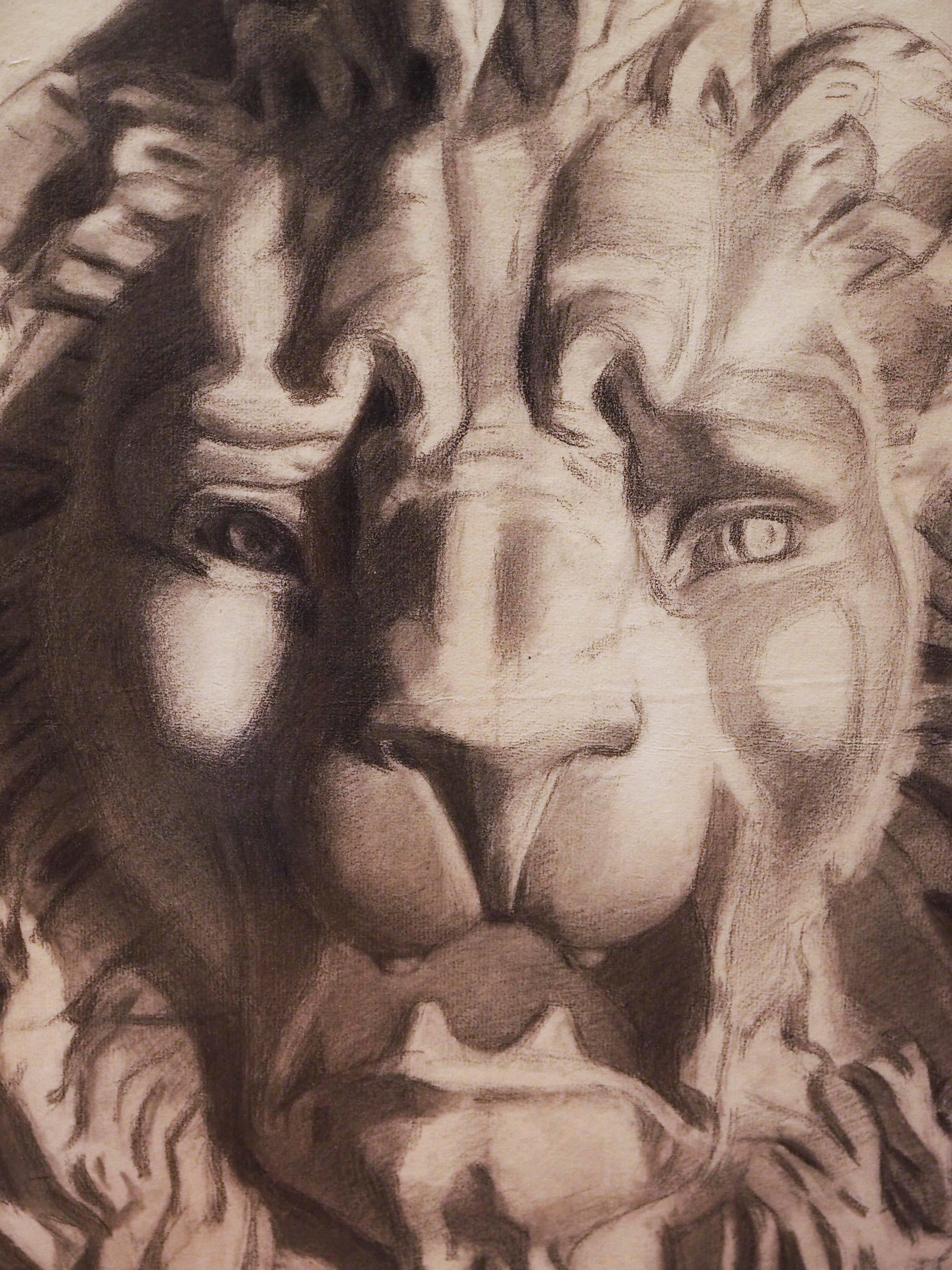 French Academy Drawing of a Lions Head In Good Condition For Sale In Natchez, MS