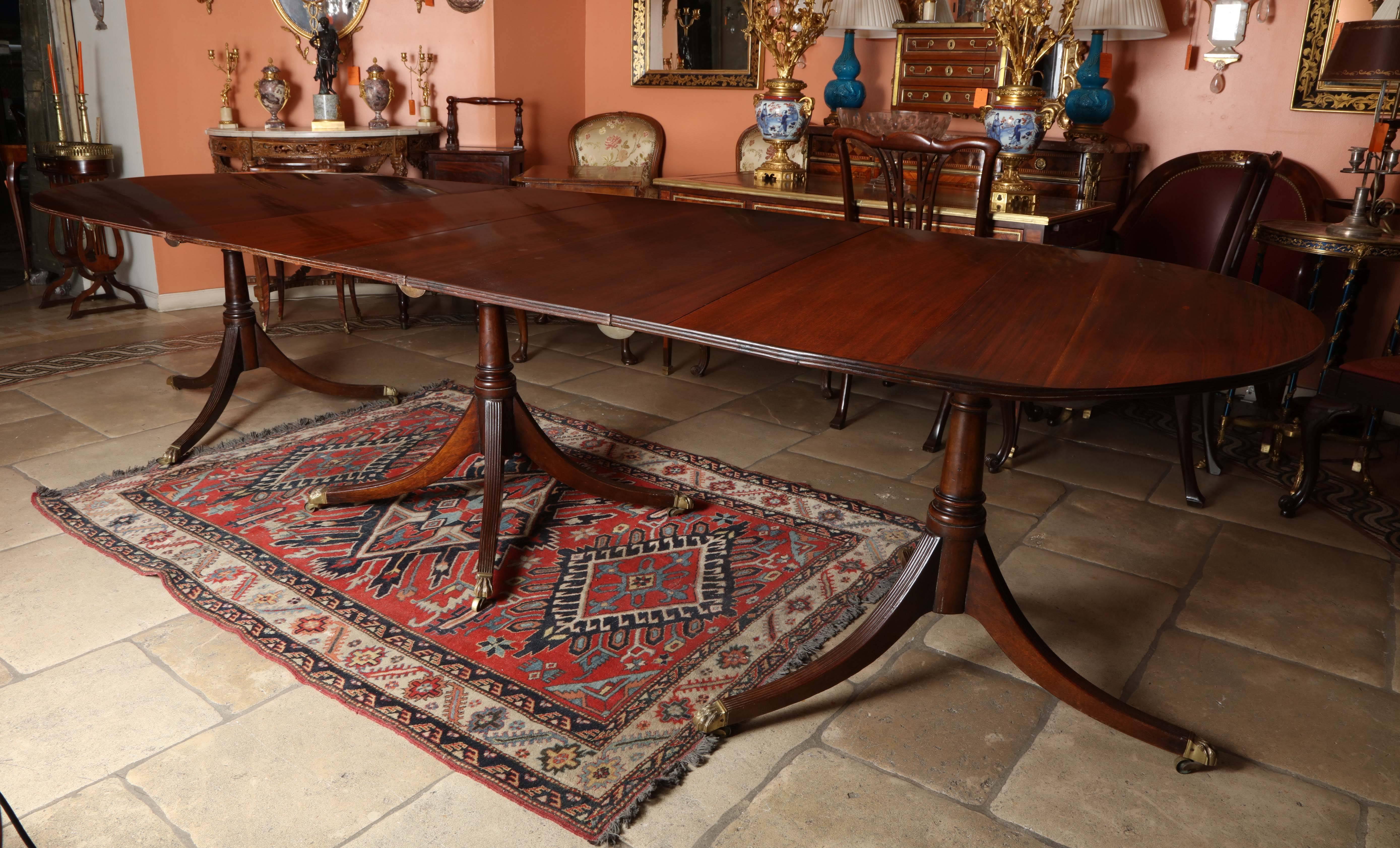 Regency mahogany triple pedestal extension dining table with sabre legs and brass casters.
