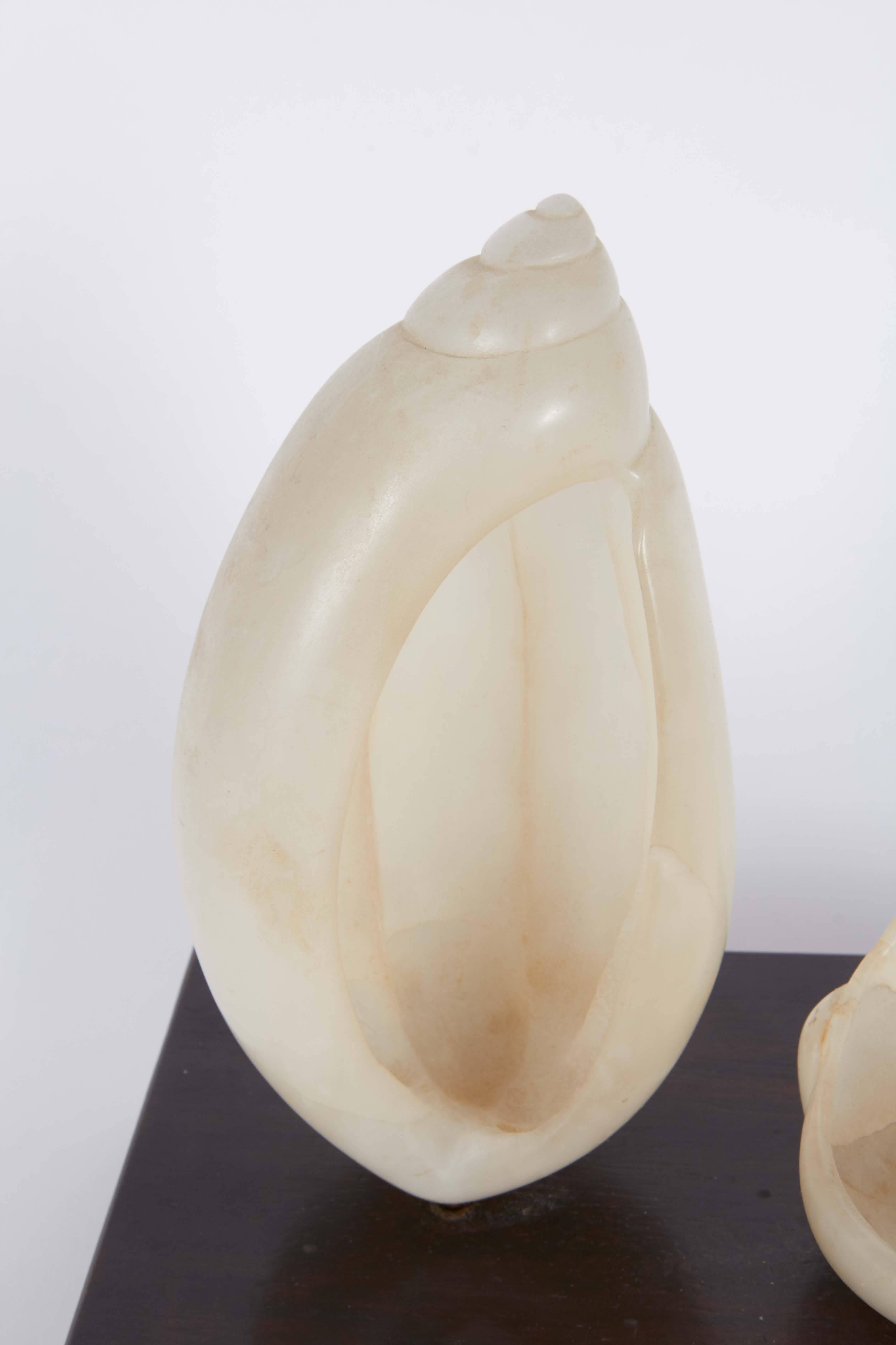 Sculptural shells, crafted of carved and polished alabaster, mounted on a rich toned wooden base. This piece was done by an unknown artist and remains in very good overall condition with age-appropriate wear.