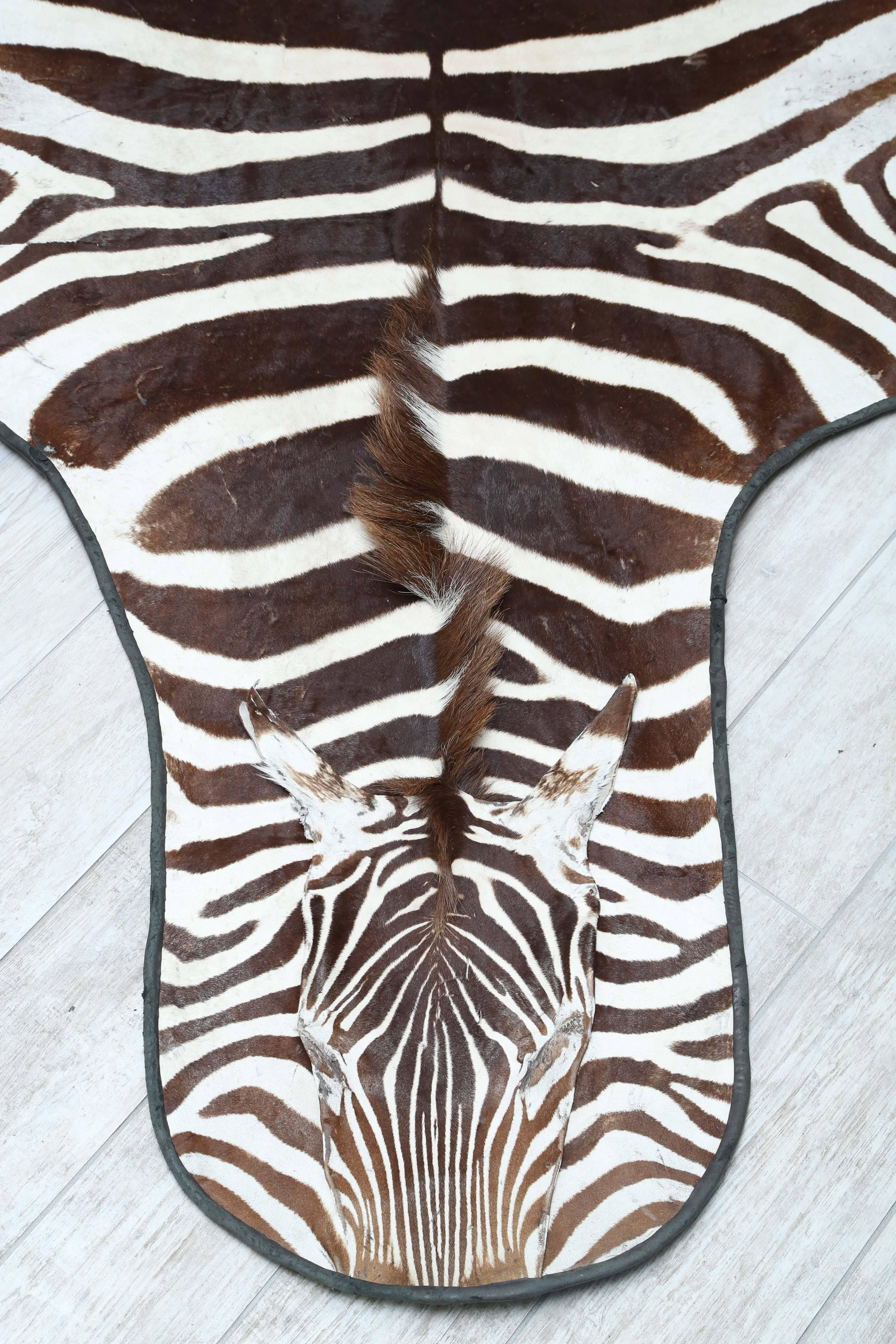 Beautifully marked authentic zebra skin hide with felt backing.