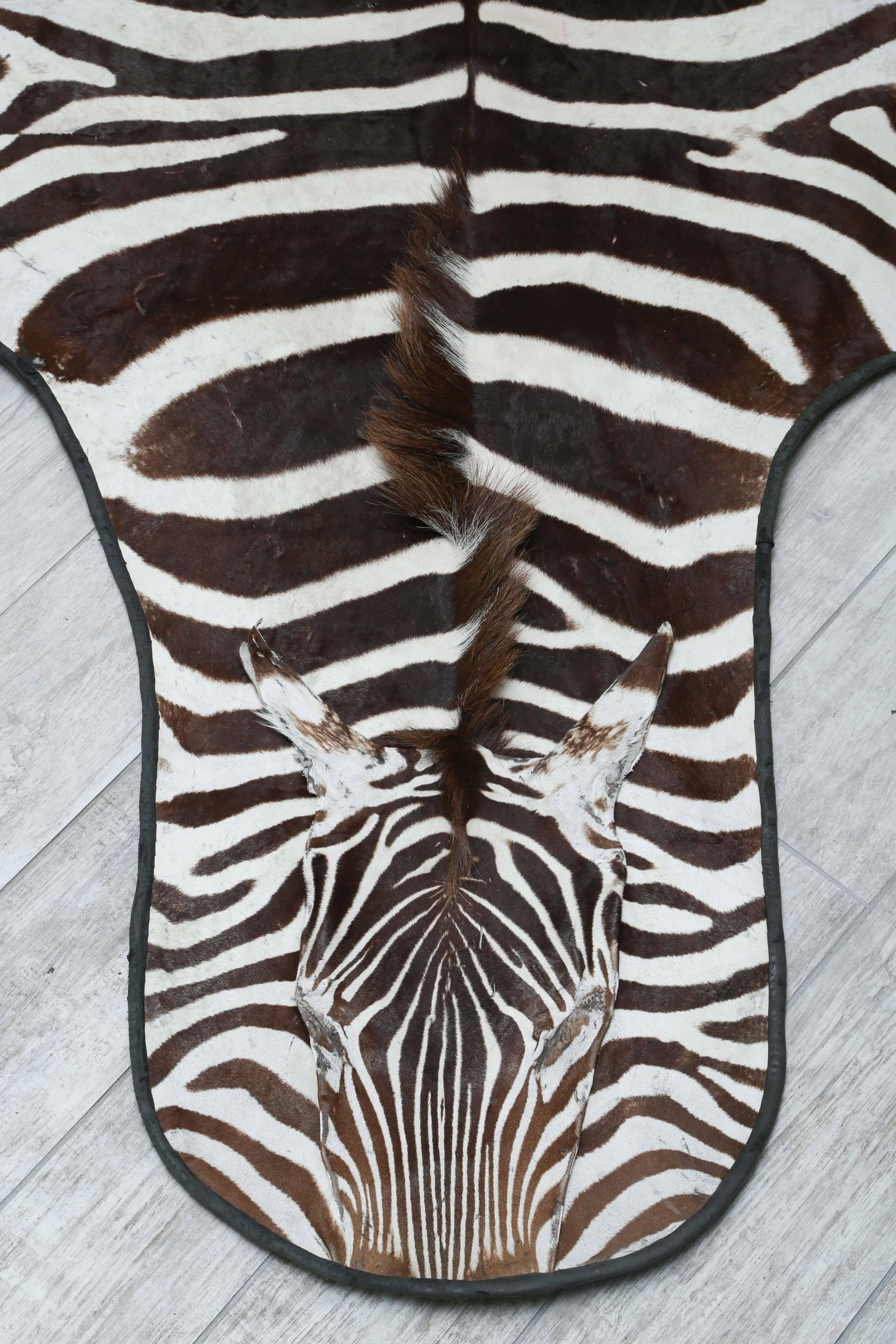 Genuine Zebra Skin Rug In Good Condition In West Palm Beach, FL