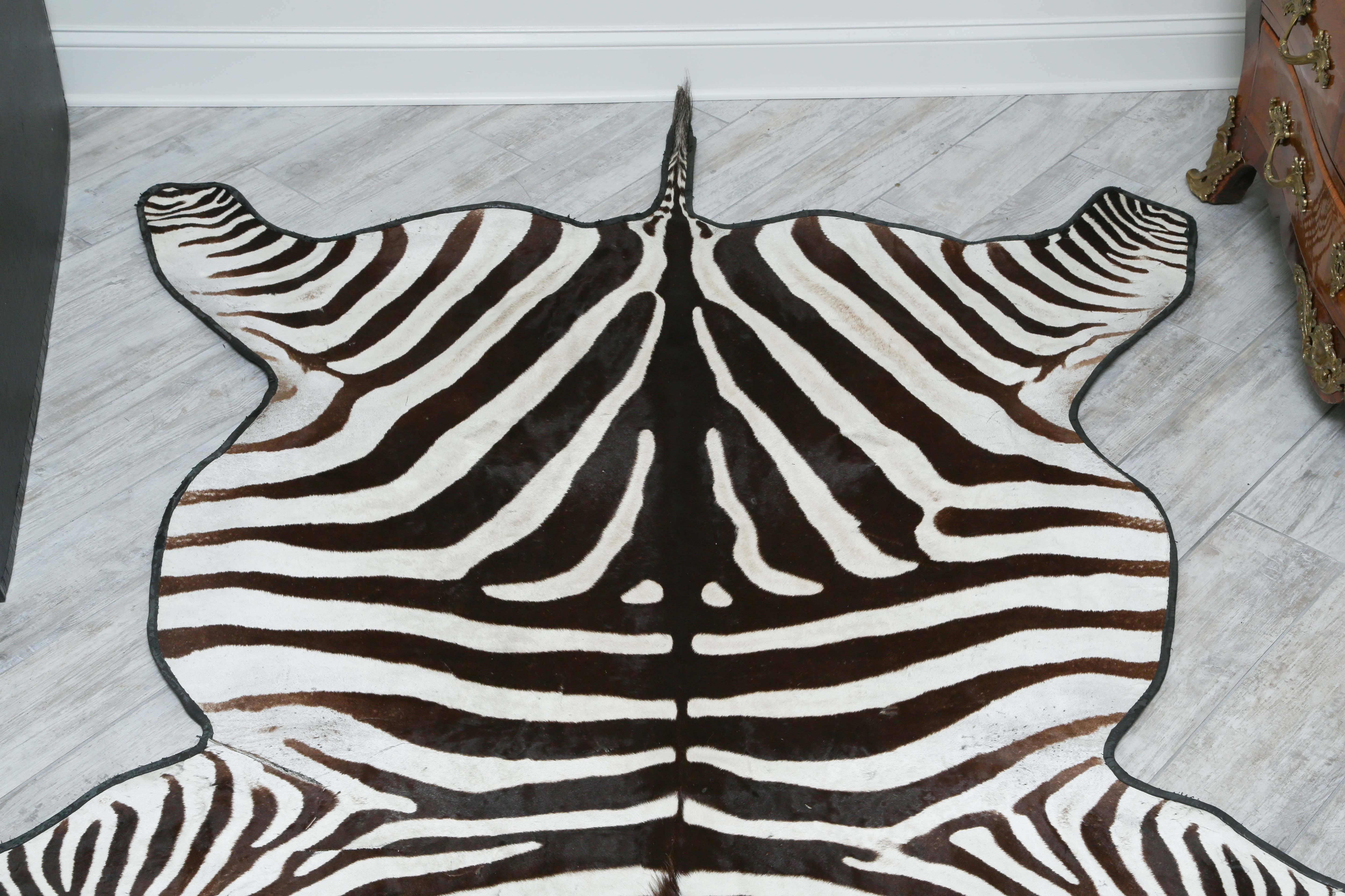 20th Century Genuine Zebra Skin Rug