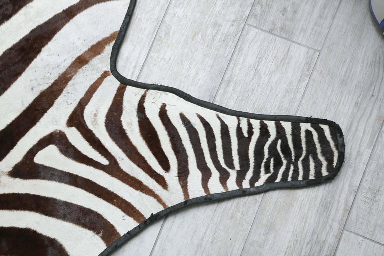 Genuine Zebra Skin Rug at 1stDibs
