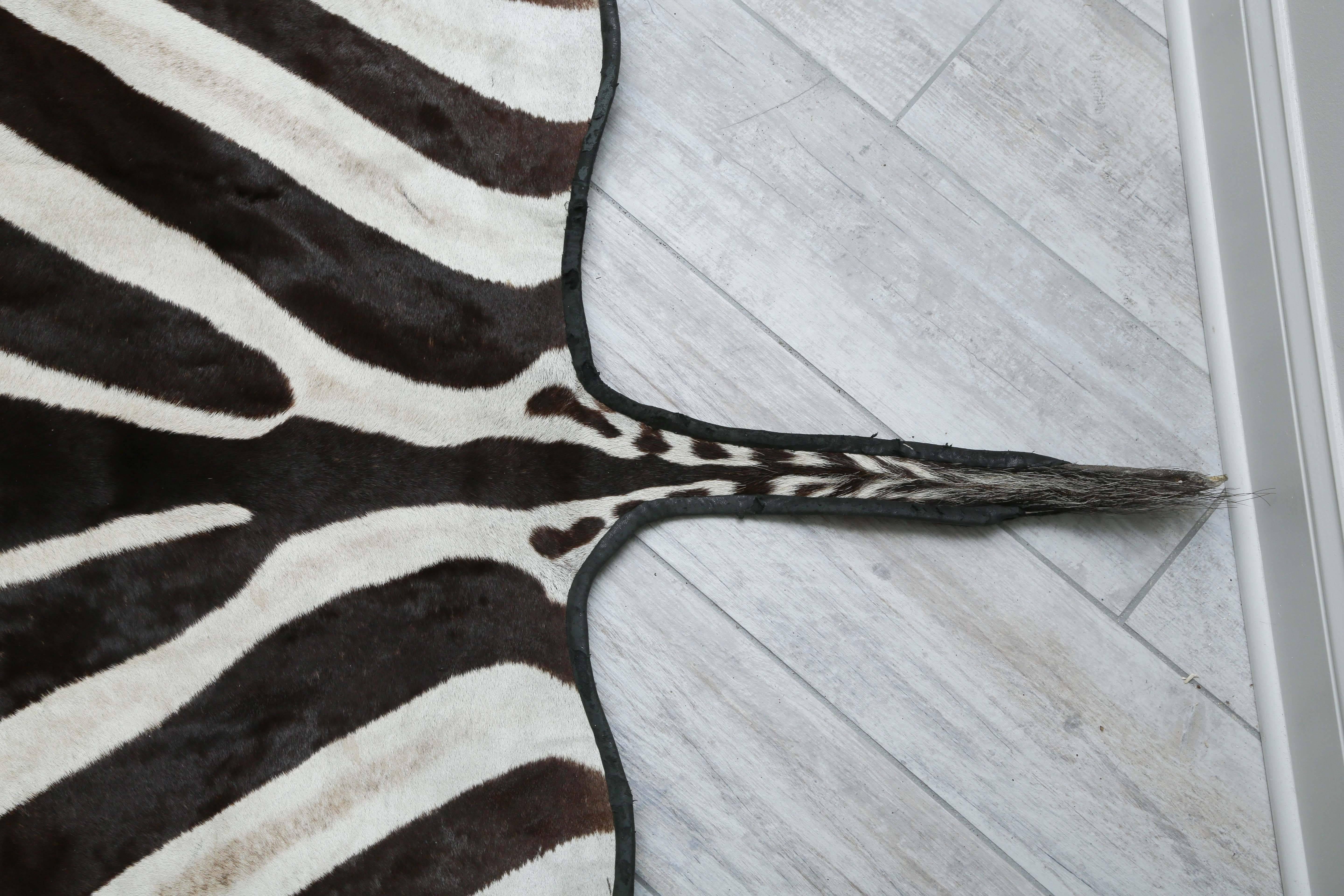 Genuine Zebra Skin Rug 2
