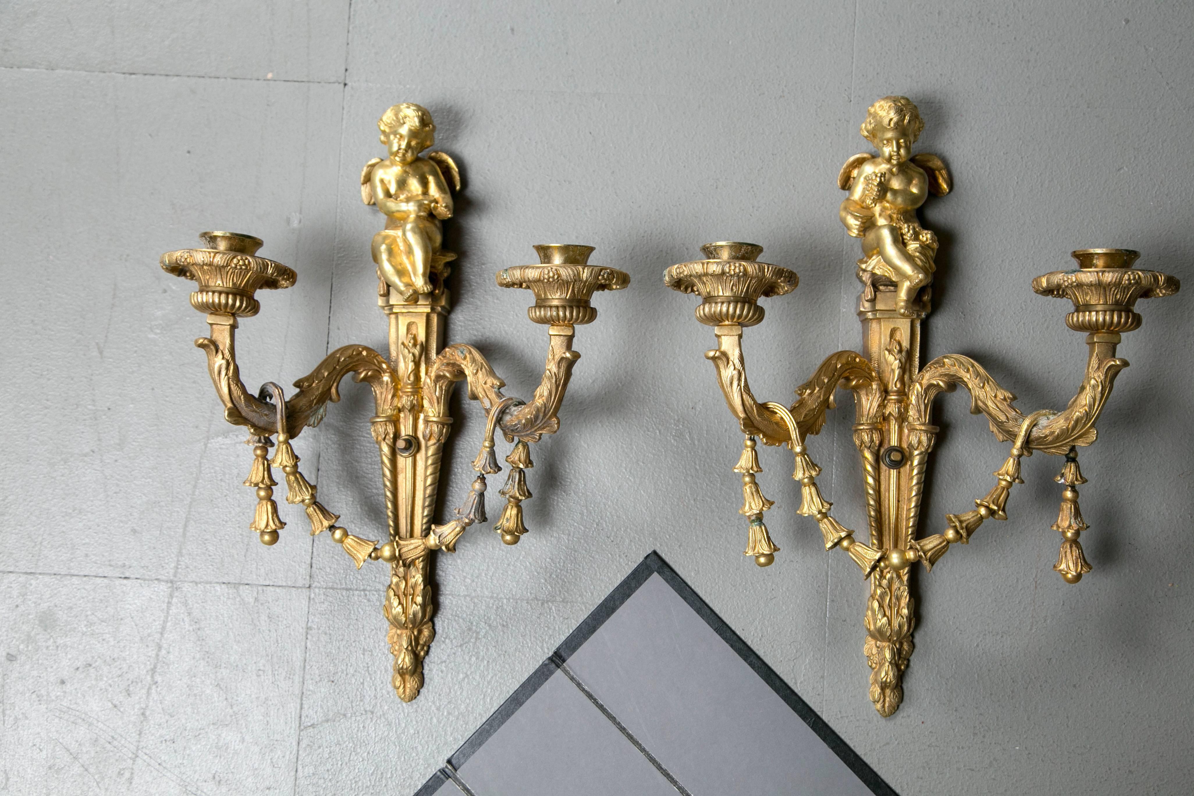 Elegant pair of gilt bronze sconces with bell flower garlands and cherubs.