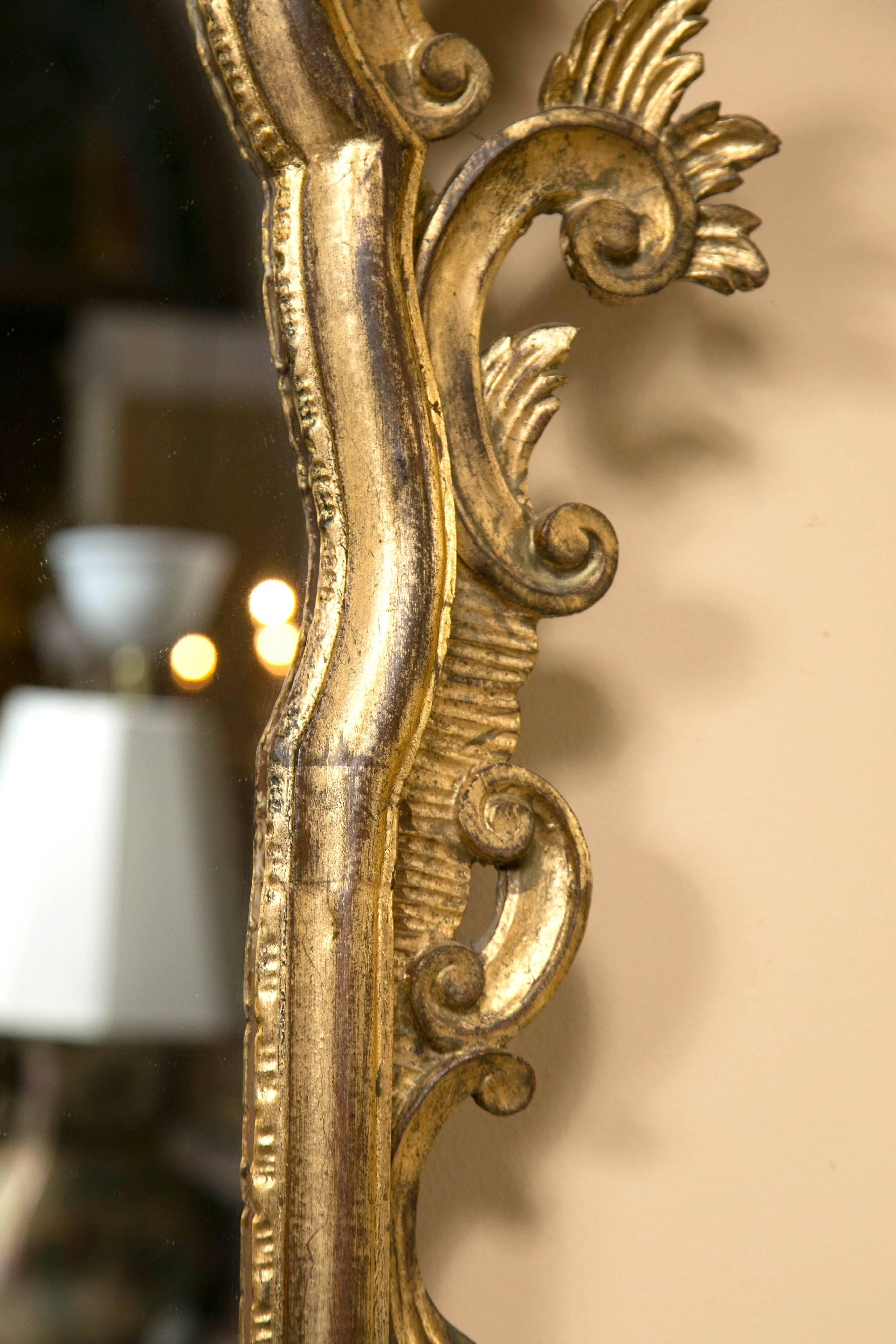 Pair of Italian Gilt Gold Carved Mirrors 1