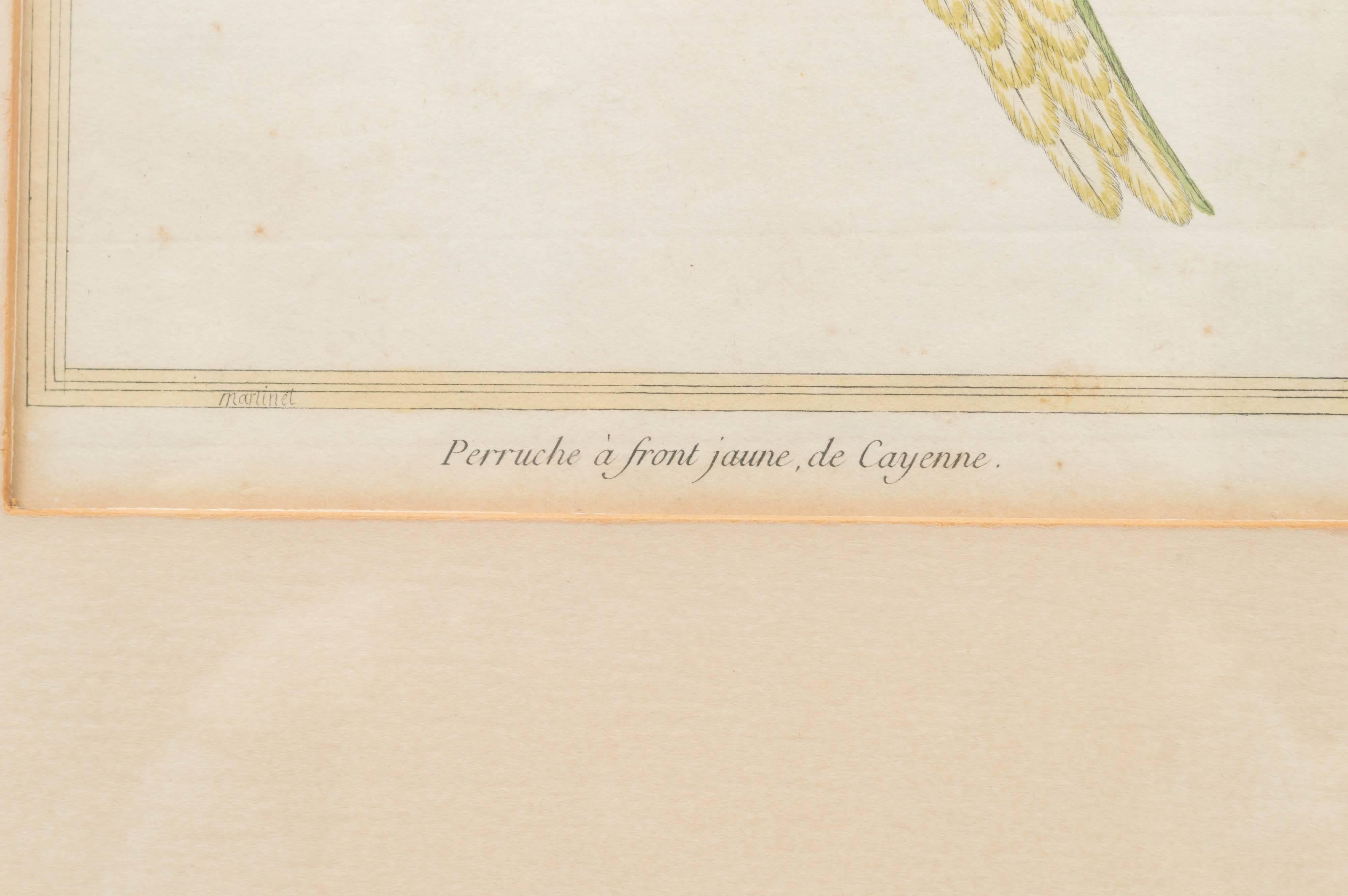 18th Century Three Ornithological Prints, from the Histoire Naturelle des Oiseaux For Sale