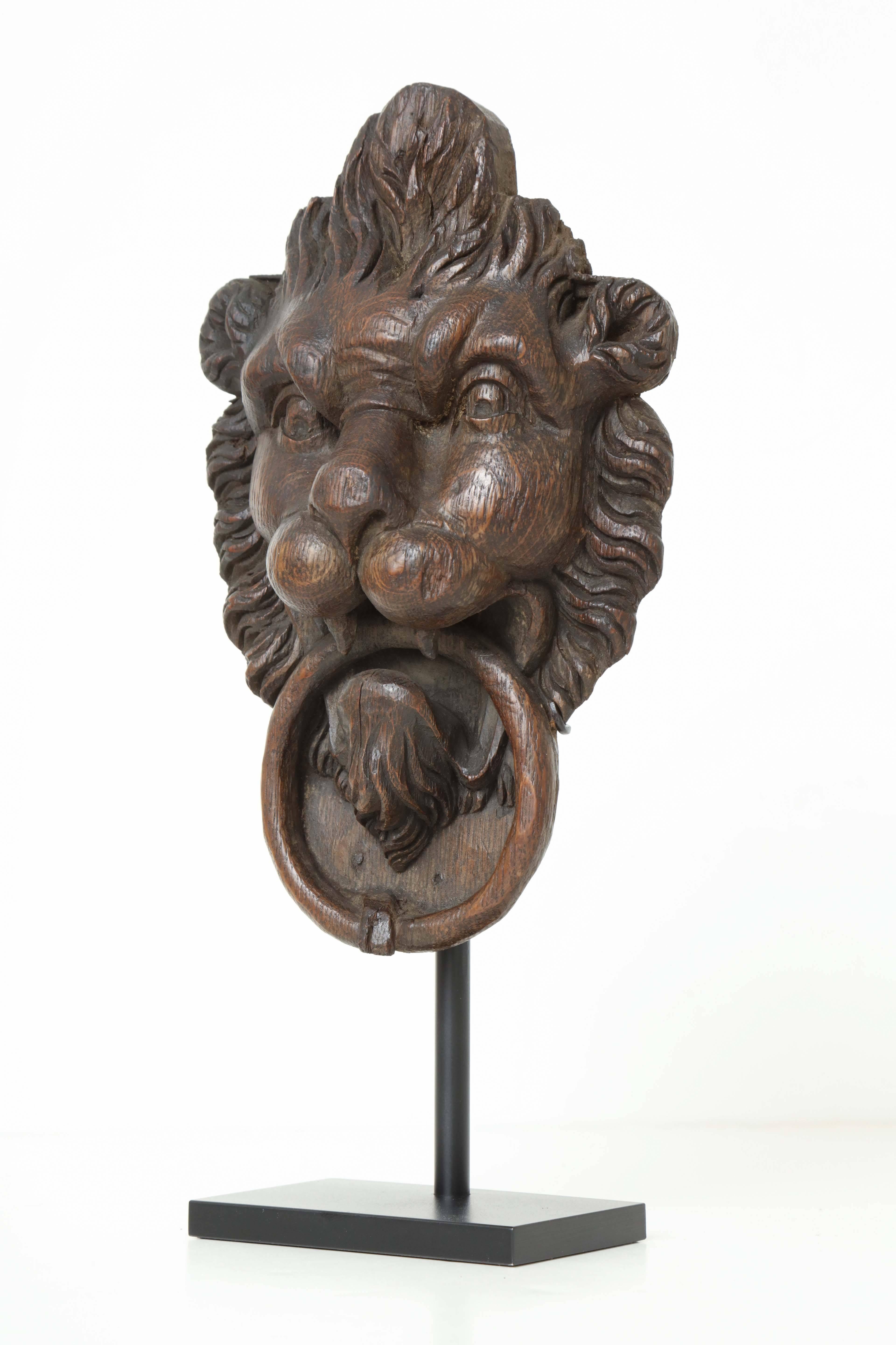 An 18th century English oak figural carving in the form of a lion's head door knocker, mounted on a contemporary stand.