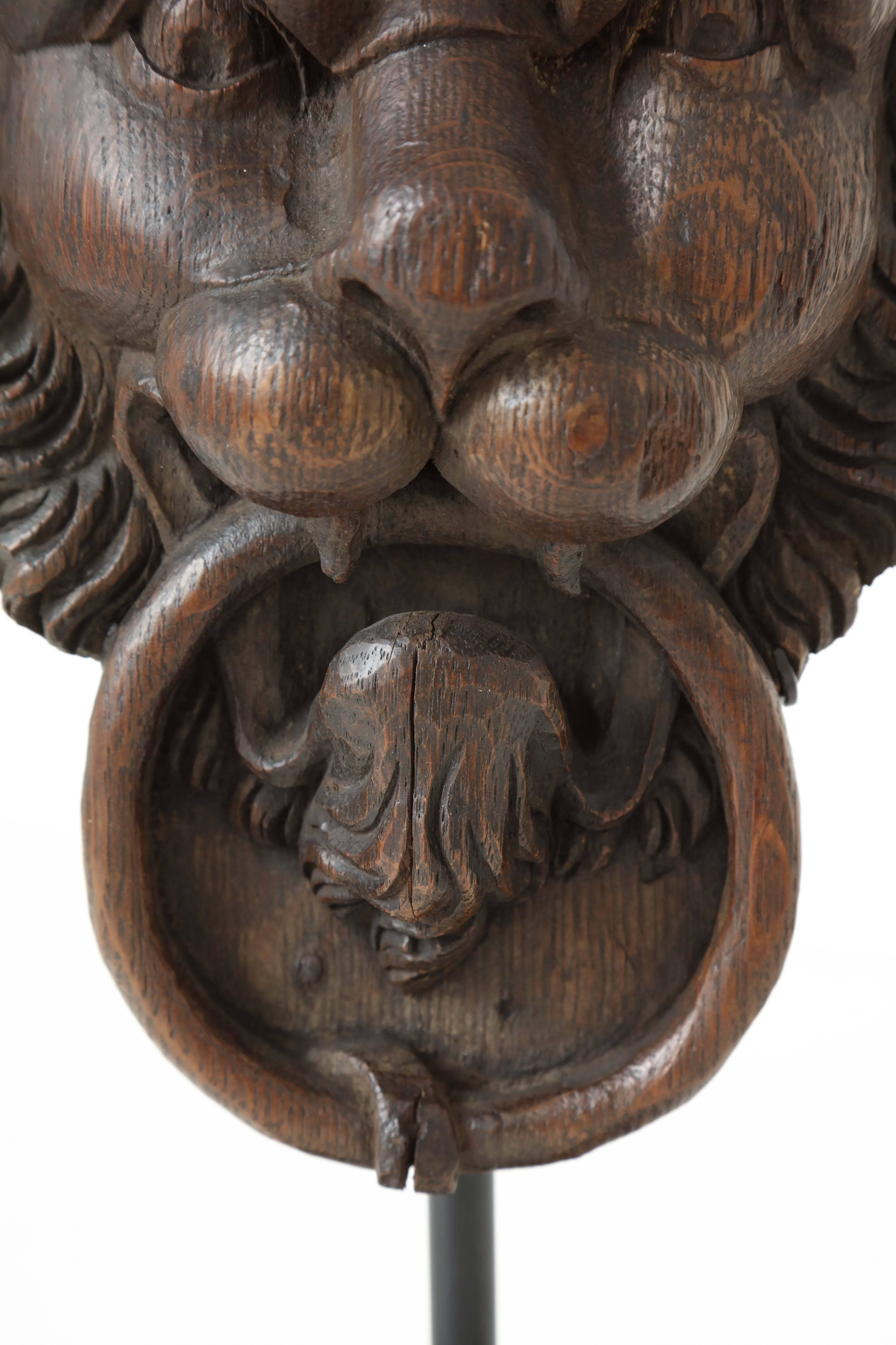 18th Century English Carved Oak Lion's Head 1