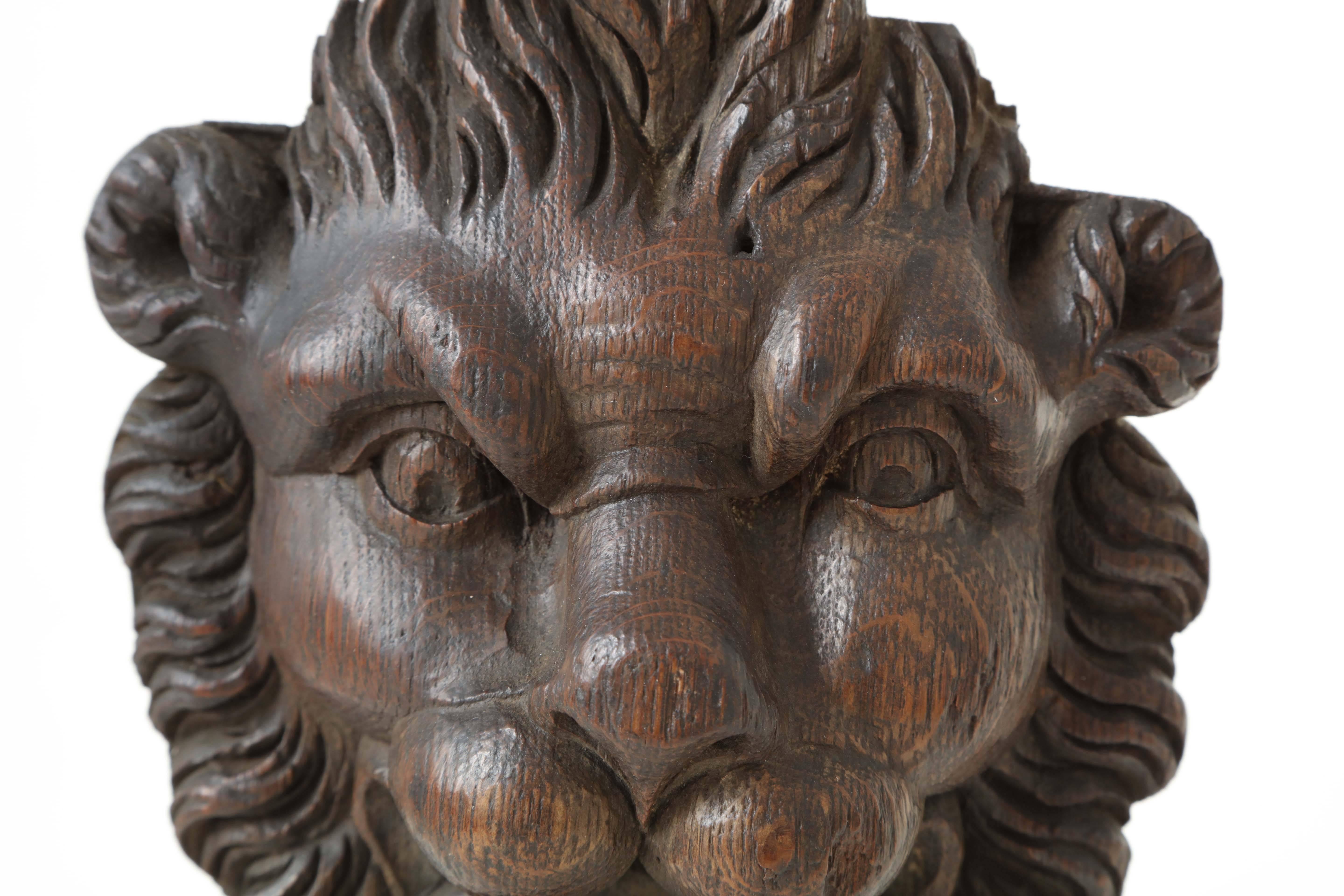 18th Century English Carved Oak Lion's Head 2