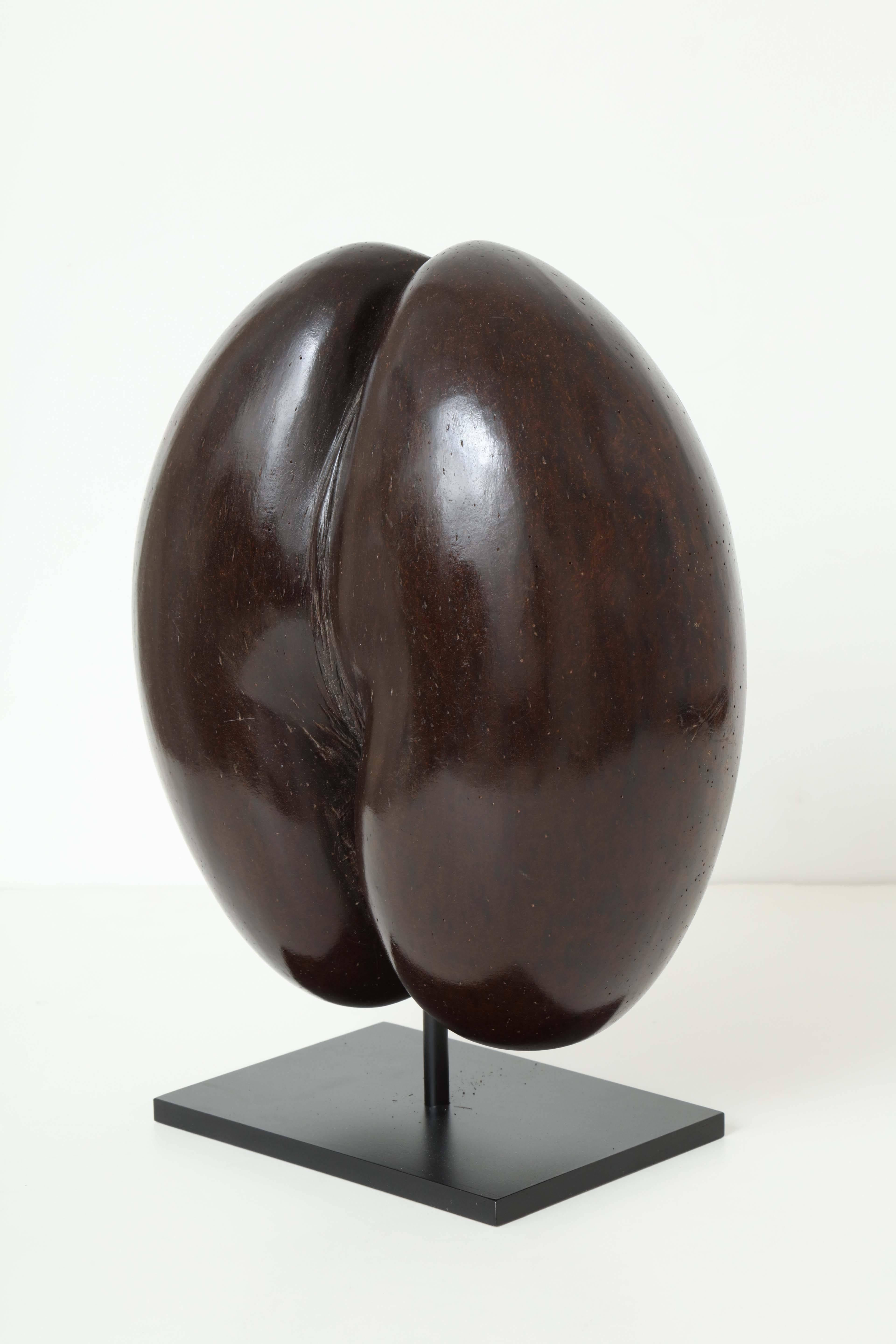 A large Seychelles double-sided polished and incised Coco-de-Mer, mounted on a contemporary stand.