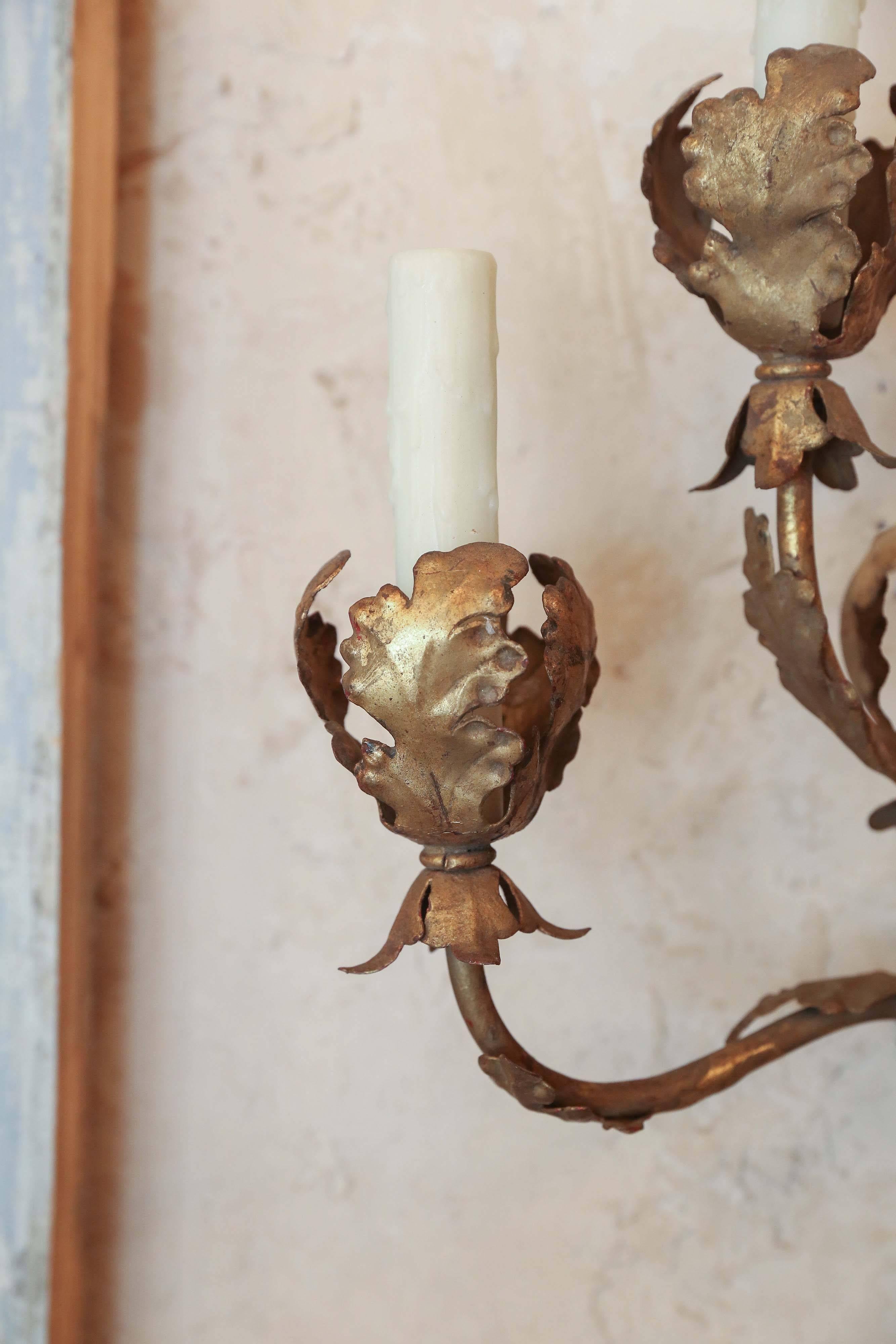 Pair Italian Tole and Gilt Sconces In Excellent Condition In Houston, TX