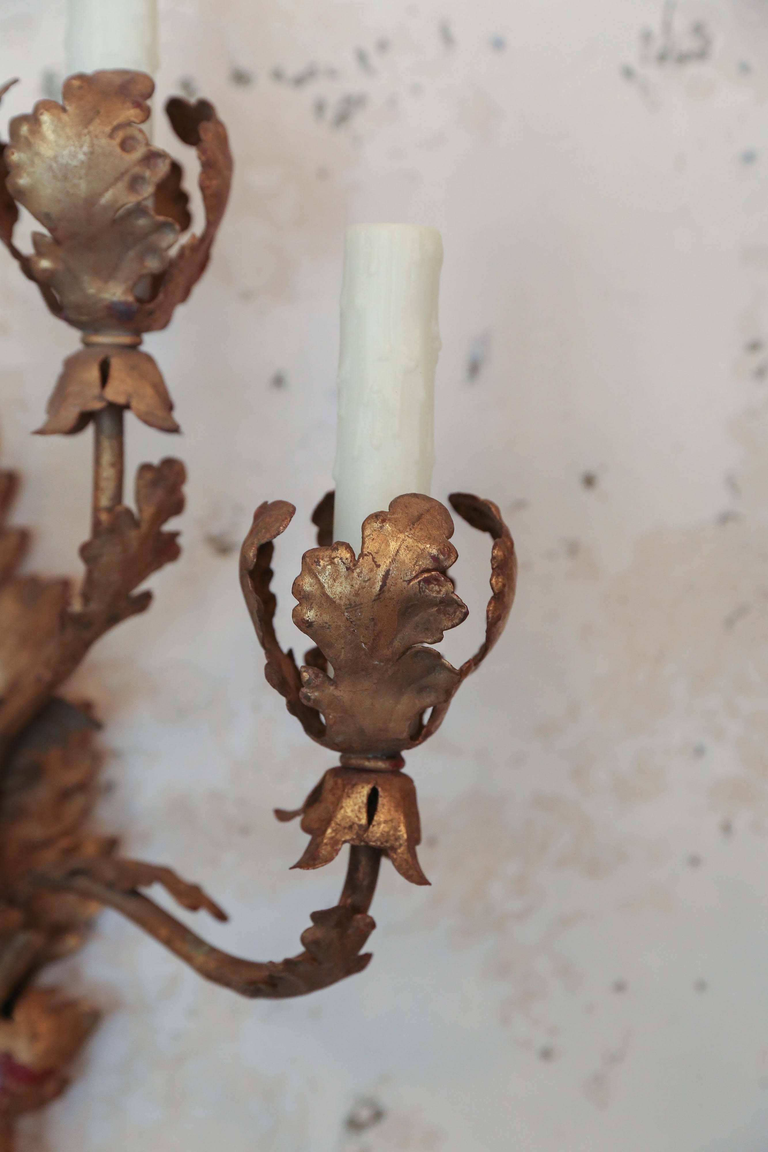 Early 20th Century Pair Italian Tole and Gilt Sconces