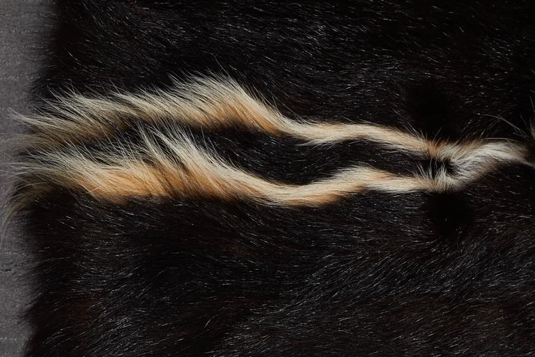 Skunk Rug Skunk Fur Rug or Throw at 1stDibs