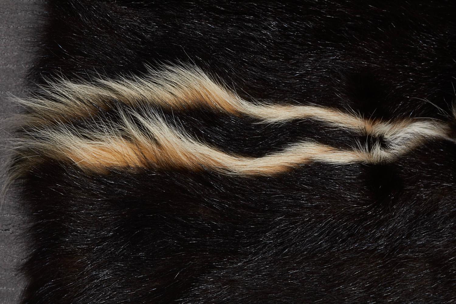 Skunk Fur Rug or Throw For Sale at 1stdibs
