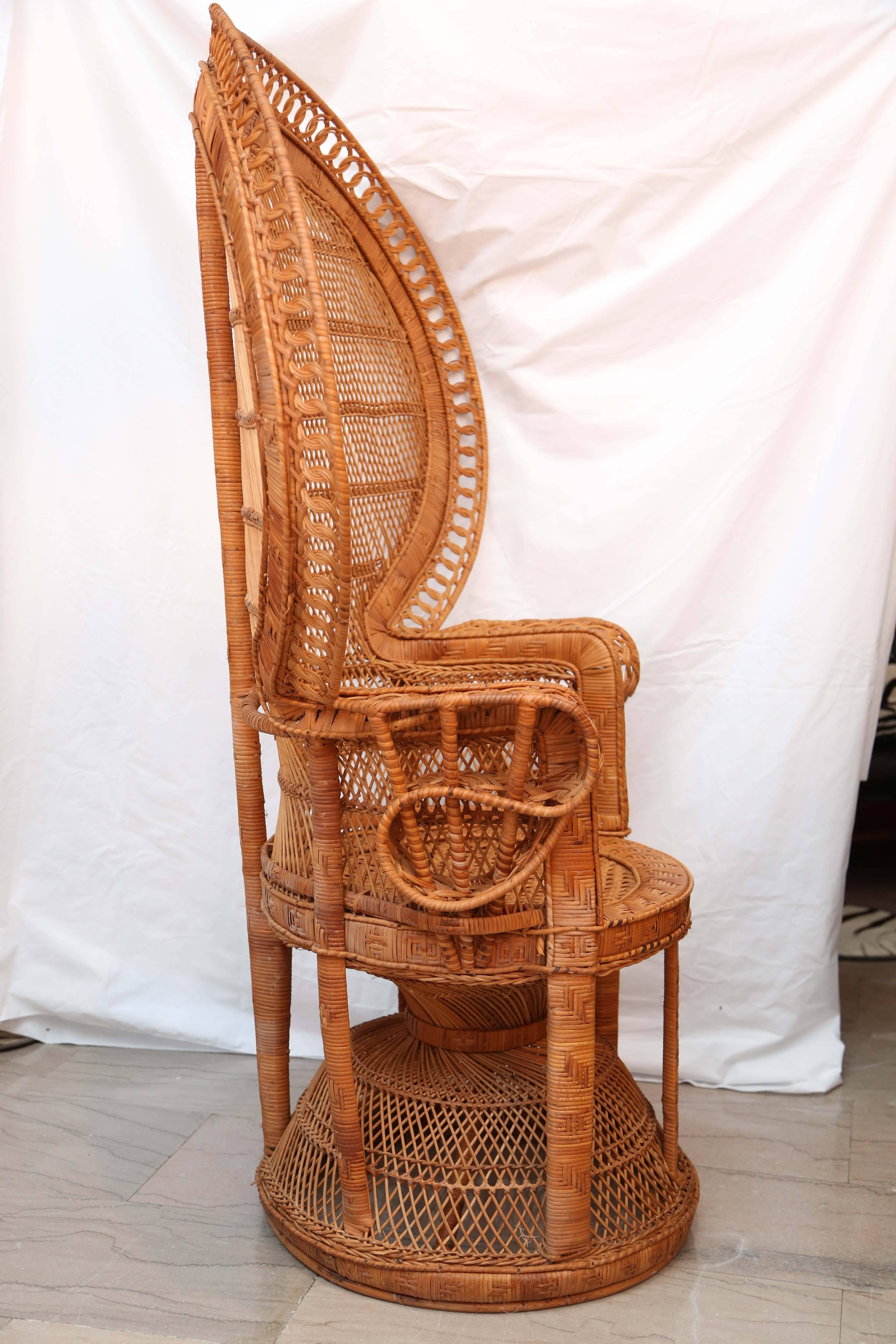 rattan peacock chair