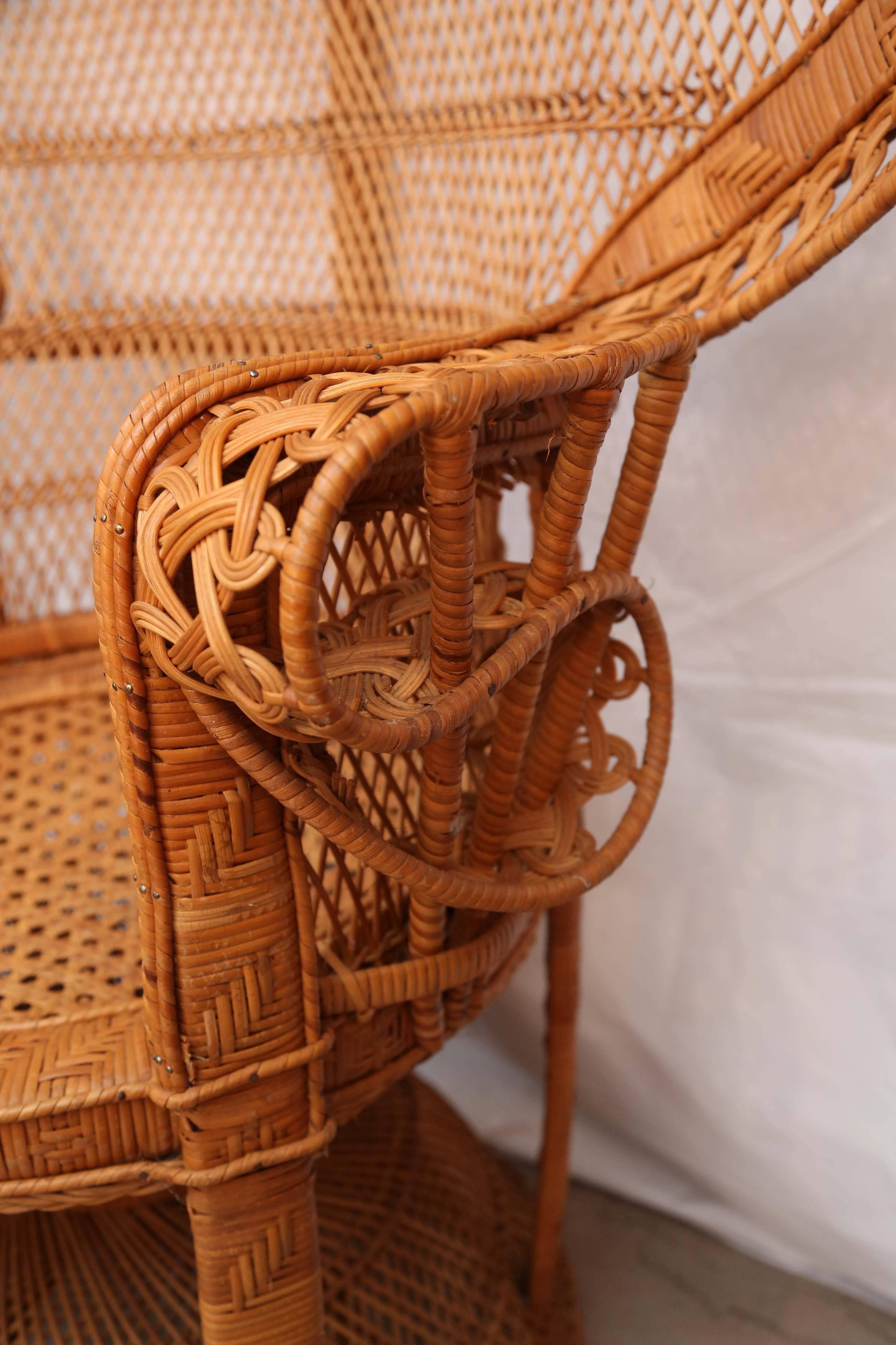 Rattan and Willow 
