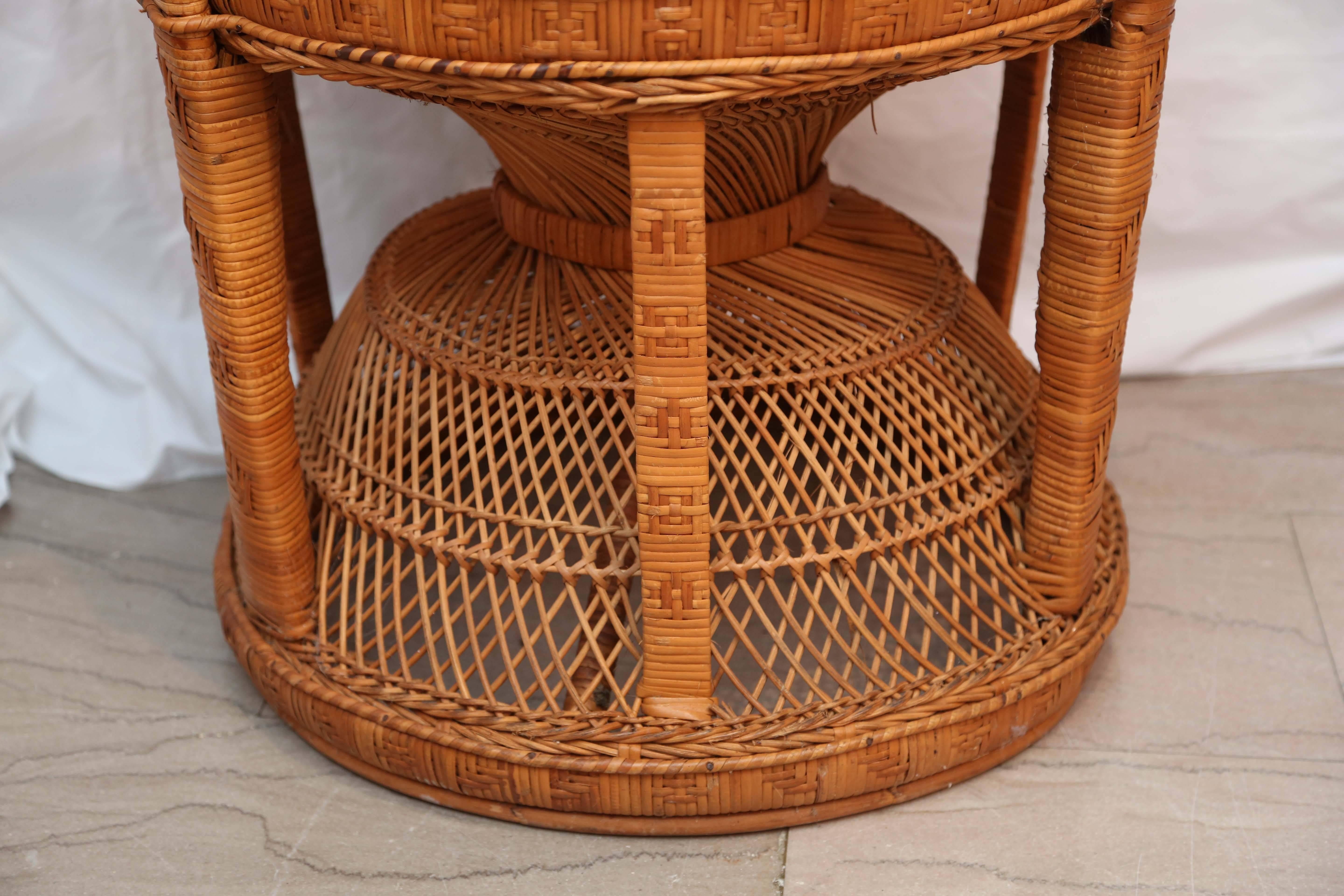 Cane Rattan and Willow 