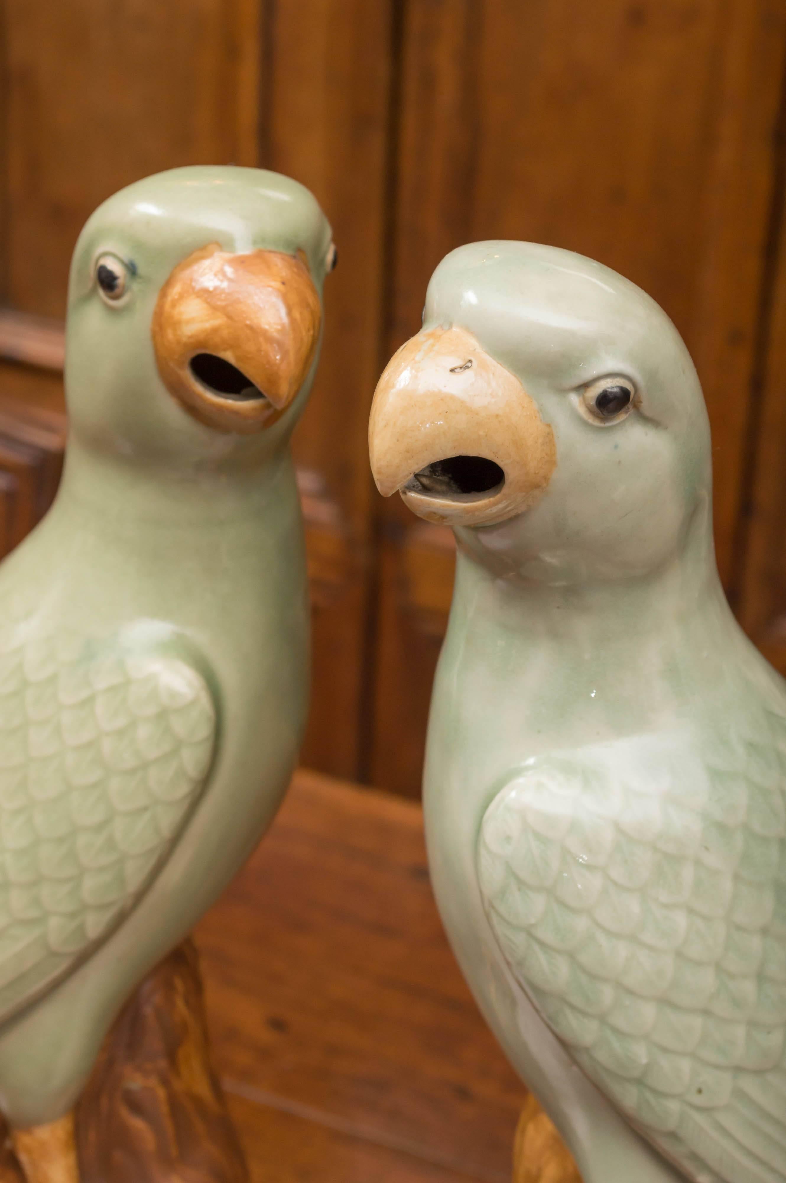 A pair of Chinese porcelain celadon and brown glaze parrots, circa 1920.
Very fine porcelain, celadon glaze and life like presence. Fine and delicate tongues present in the beaks that suggest the speaking capability of these birds.
Good clear