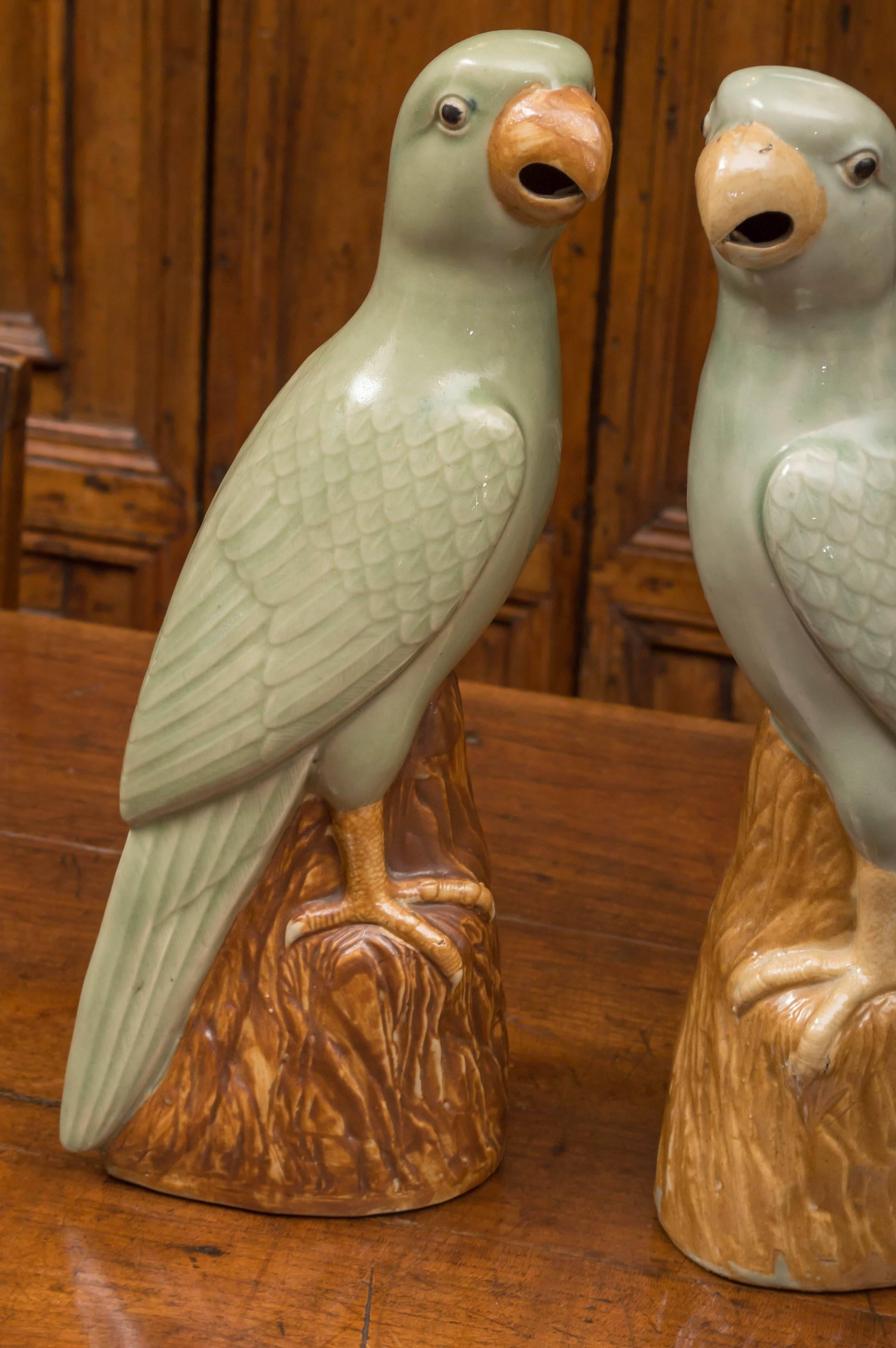 Chinese Export Pair of Chinese Porcelain Celadon and Brown Glaze Parrots, circa 1920
