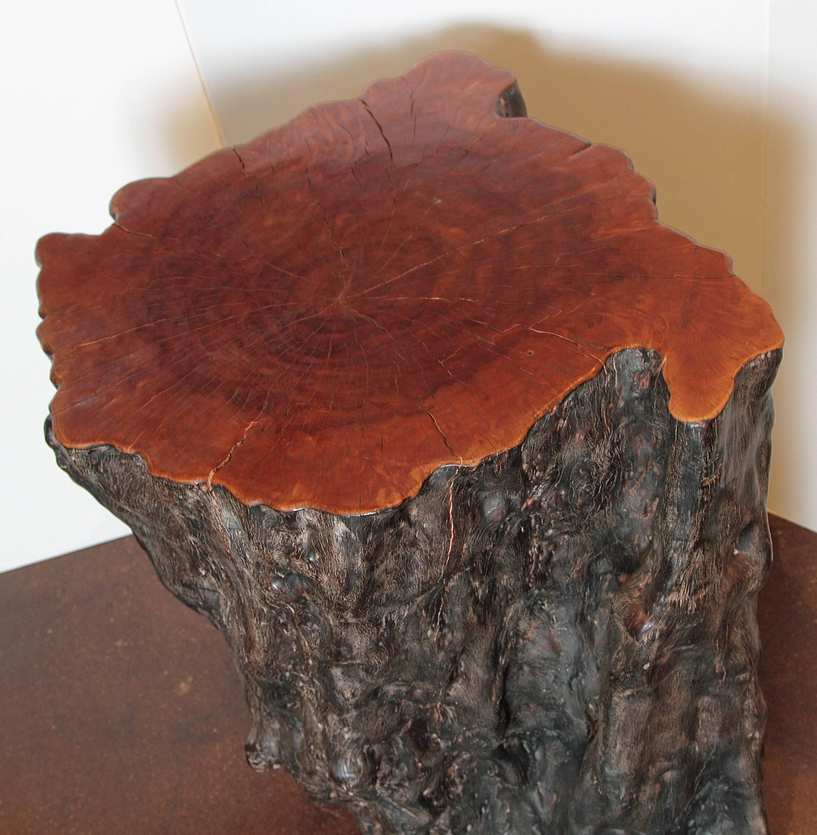 Organic Modern Organic Lychee Wood Stump
