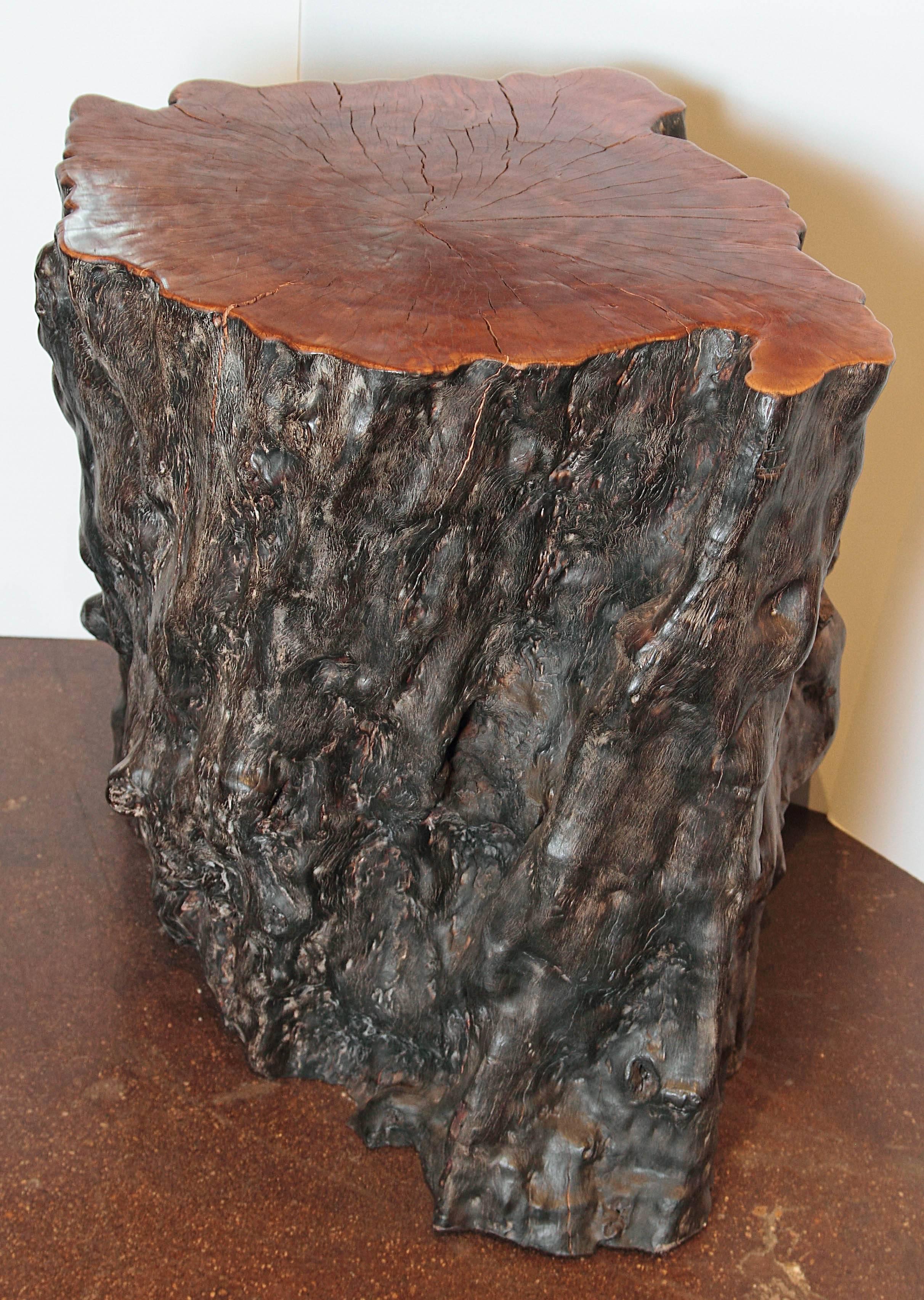 South Asian Organic Lychee Wood Stump