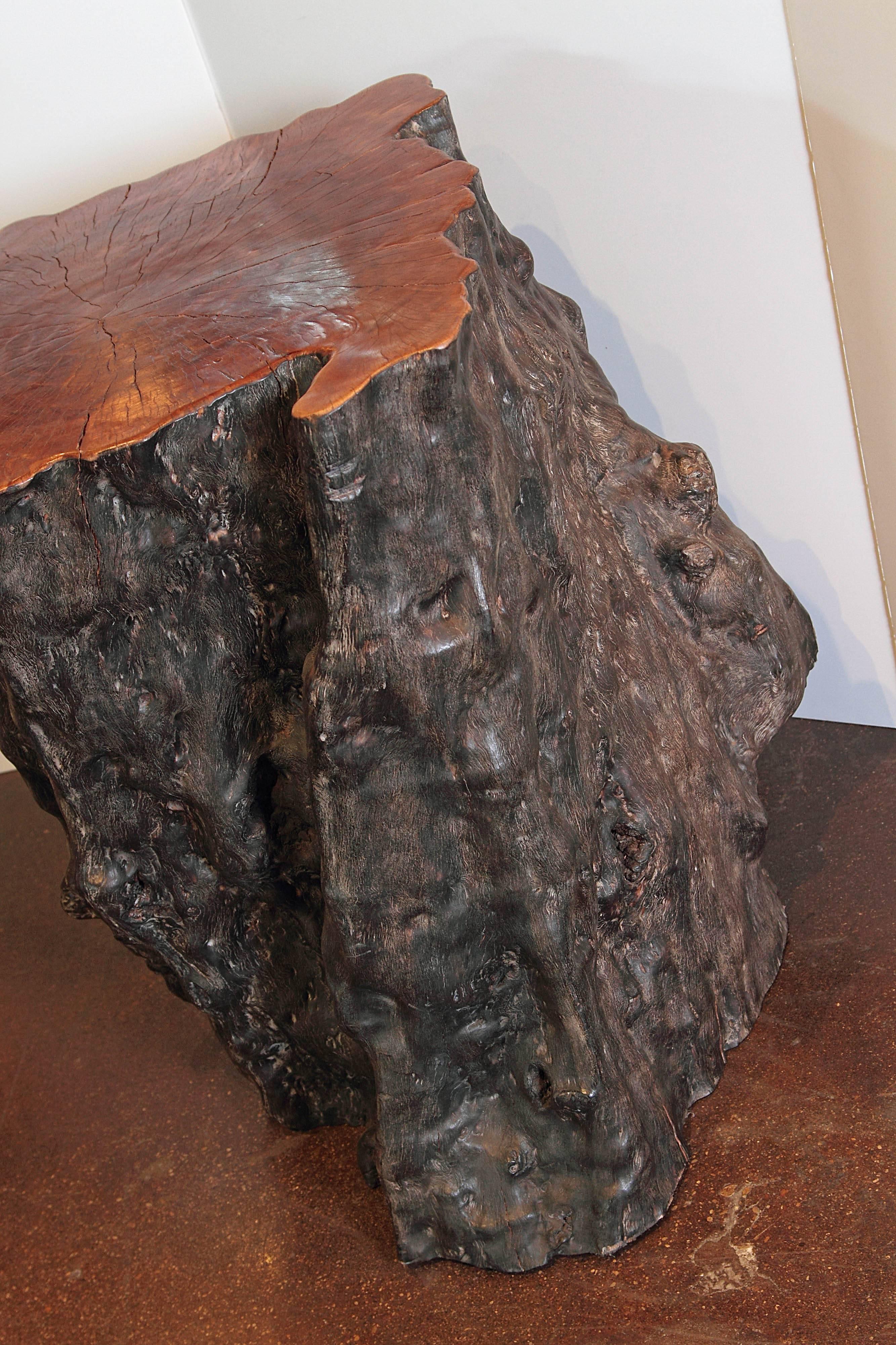 20th Century Organic Lychee Wood Stump