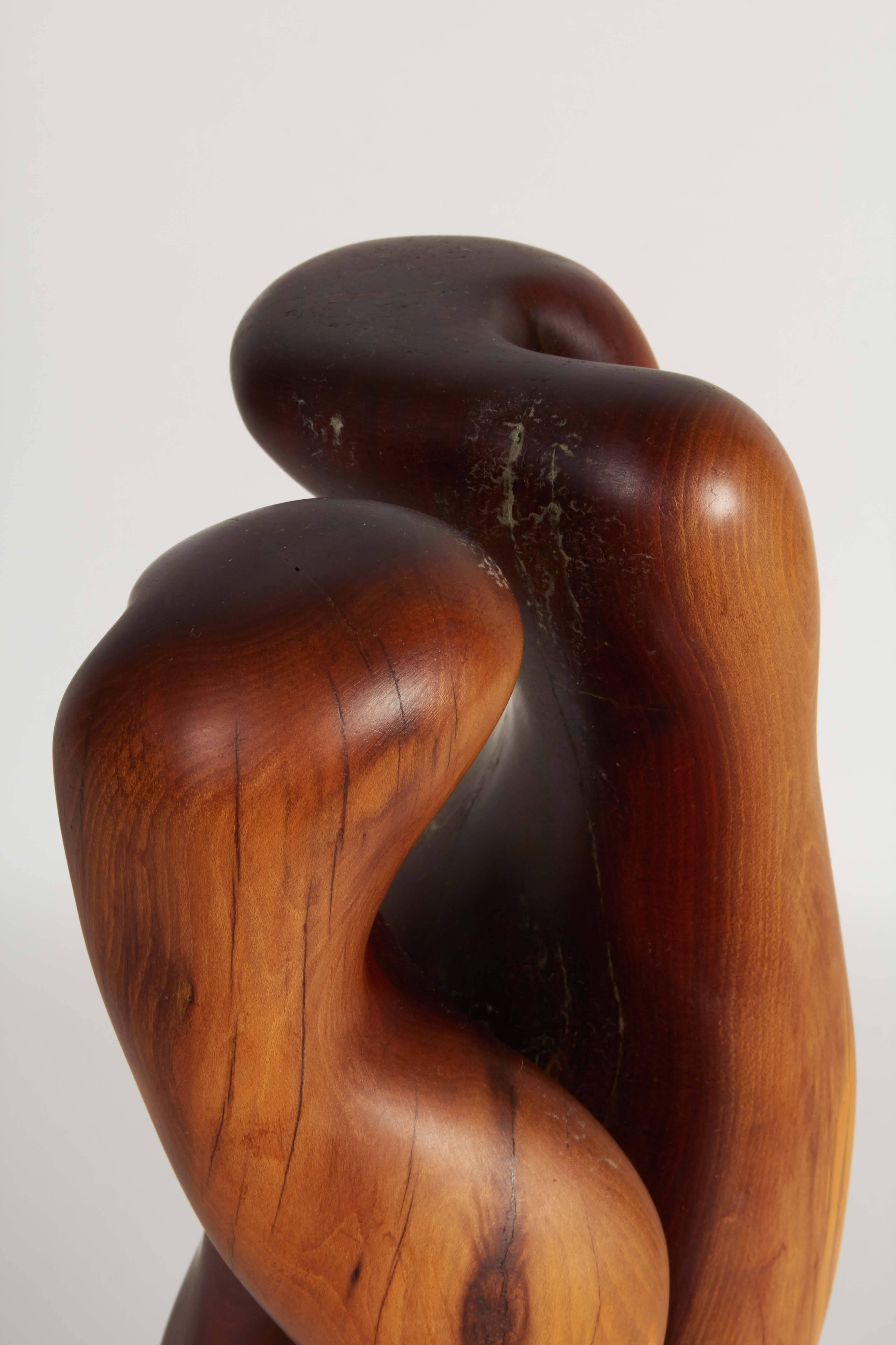 Organic Modern Biomorphic Abstract Wood Sculpture
