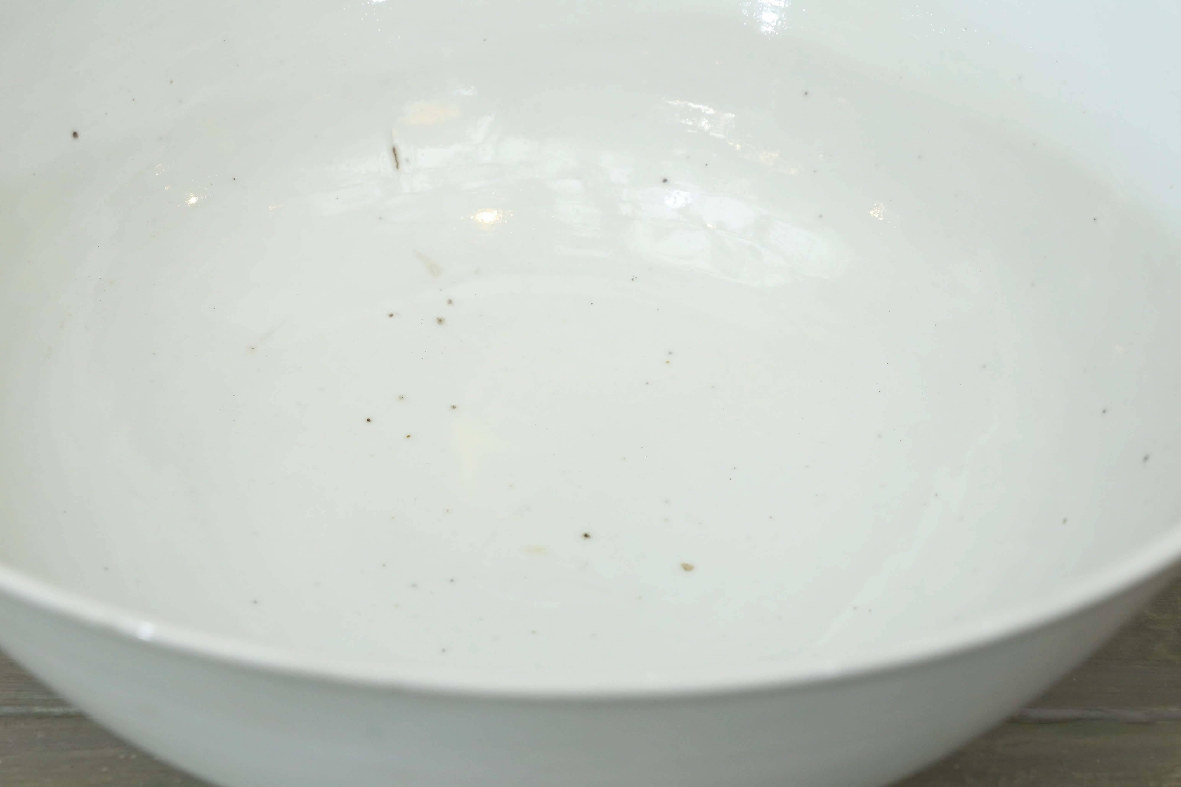 Qing 19th Century White Porcelain Bowl For Sale