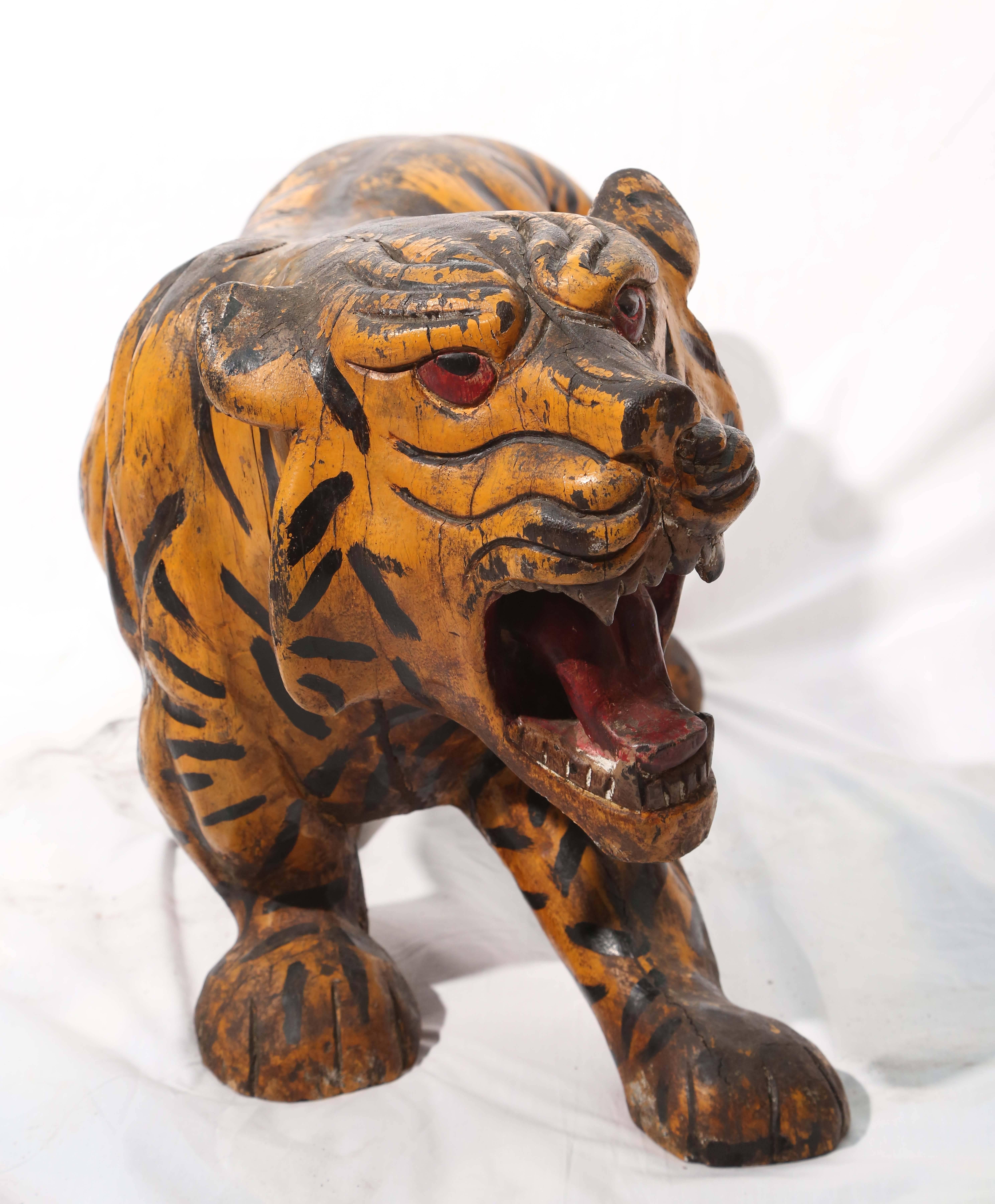 Sensational Pair of 19th Century Anglo-Indian Figure of Tigers 1