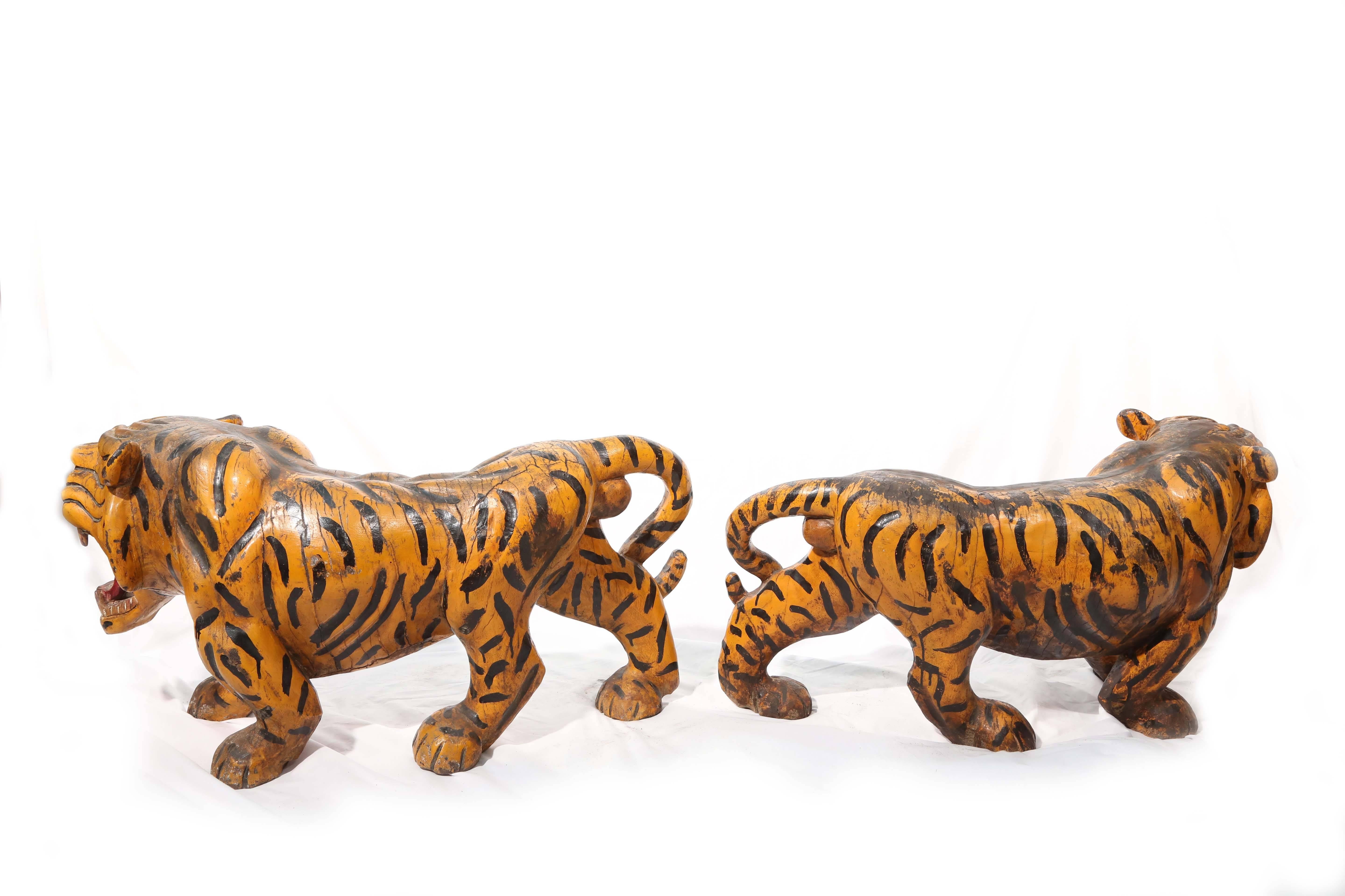 Sensational Pair of 19th Century Anglo-Indian Figure of Tigers 4