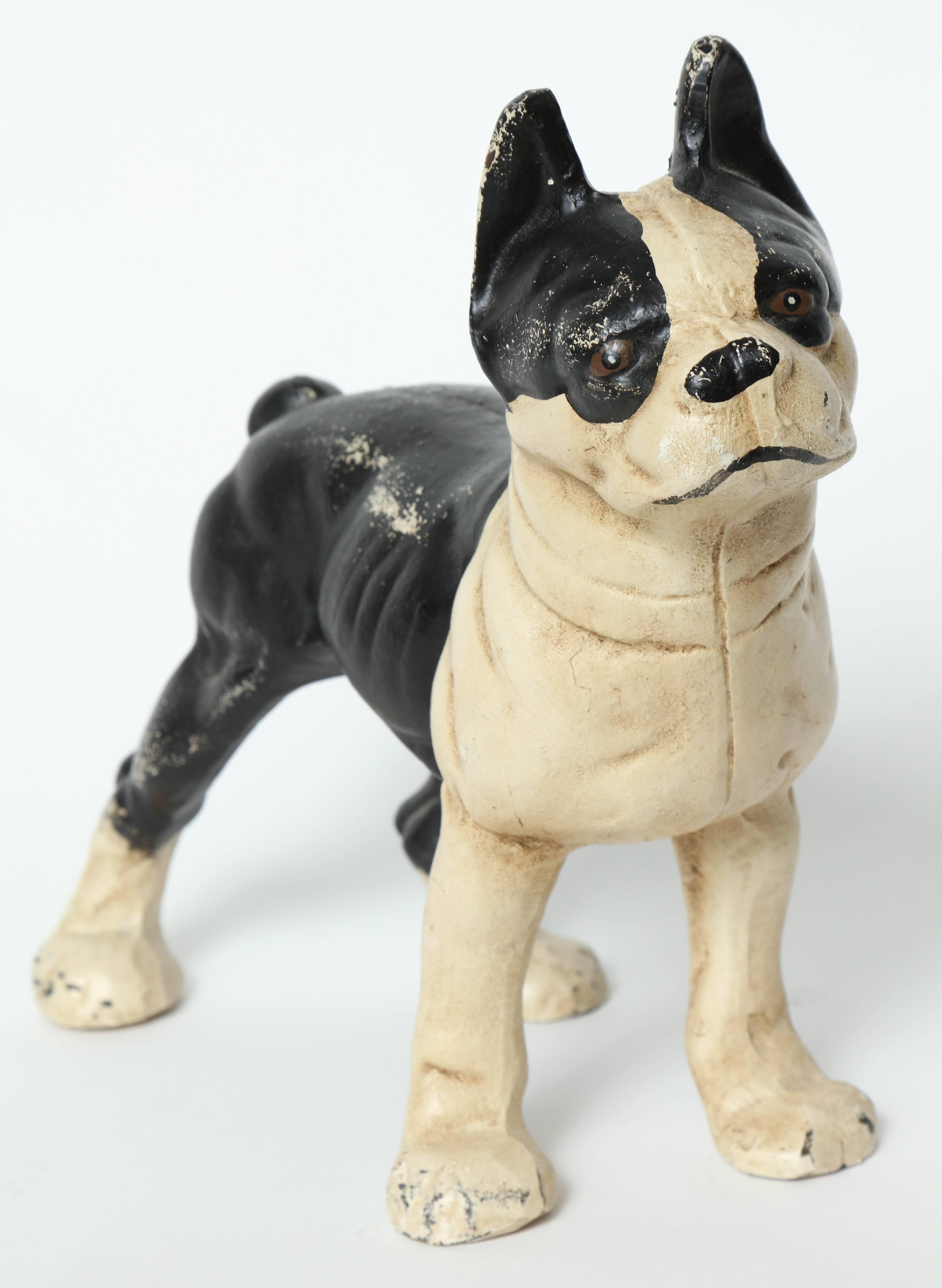 American 1940s hand-painted solid cast iron Boston Terrier door stop with fantastic facial details. Minimal signs of age.