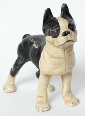 Cast Iron Boston Terrier Door Stop
