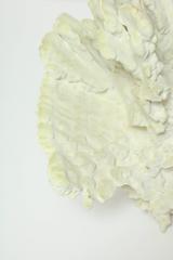 Scultura di corallo, vintage, colore verde chiaro, corallo vintage di medie dimensioni, C.C. 1970