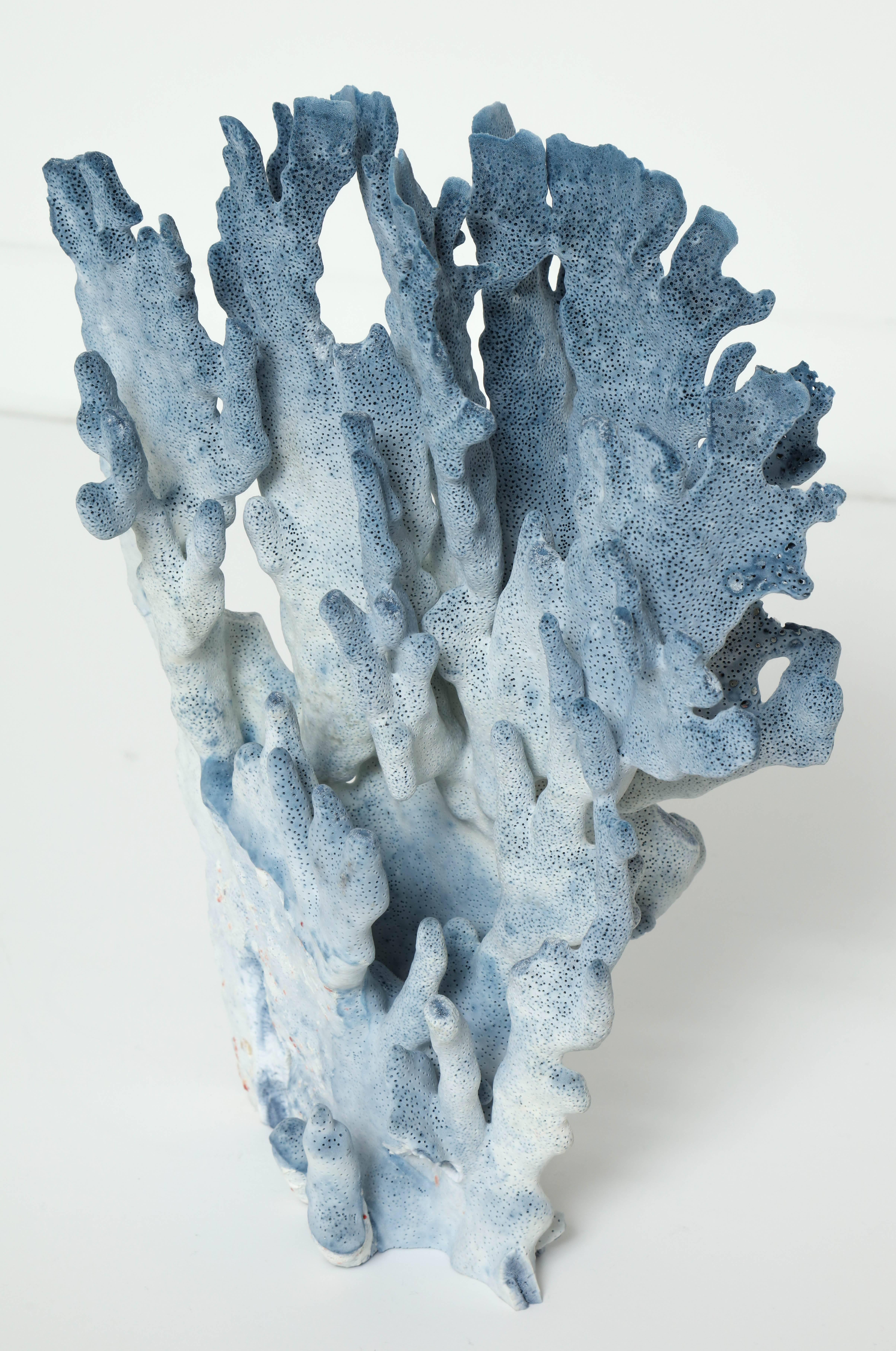 Decorative blue coral sculpture.