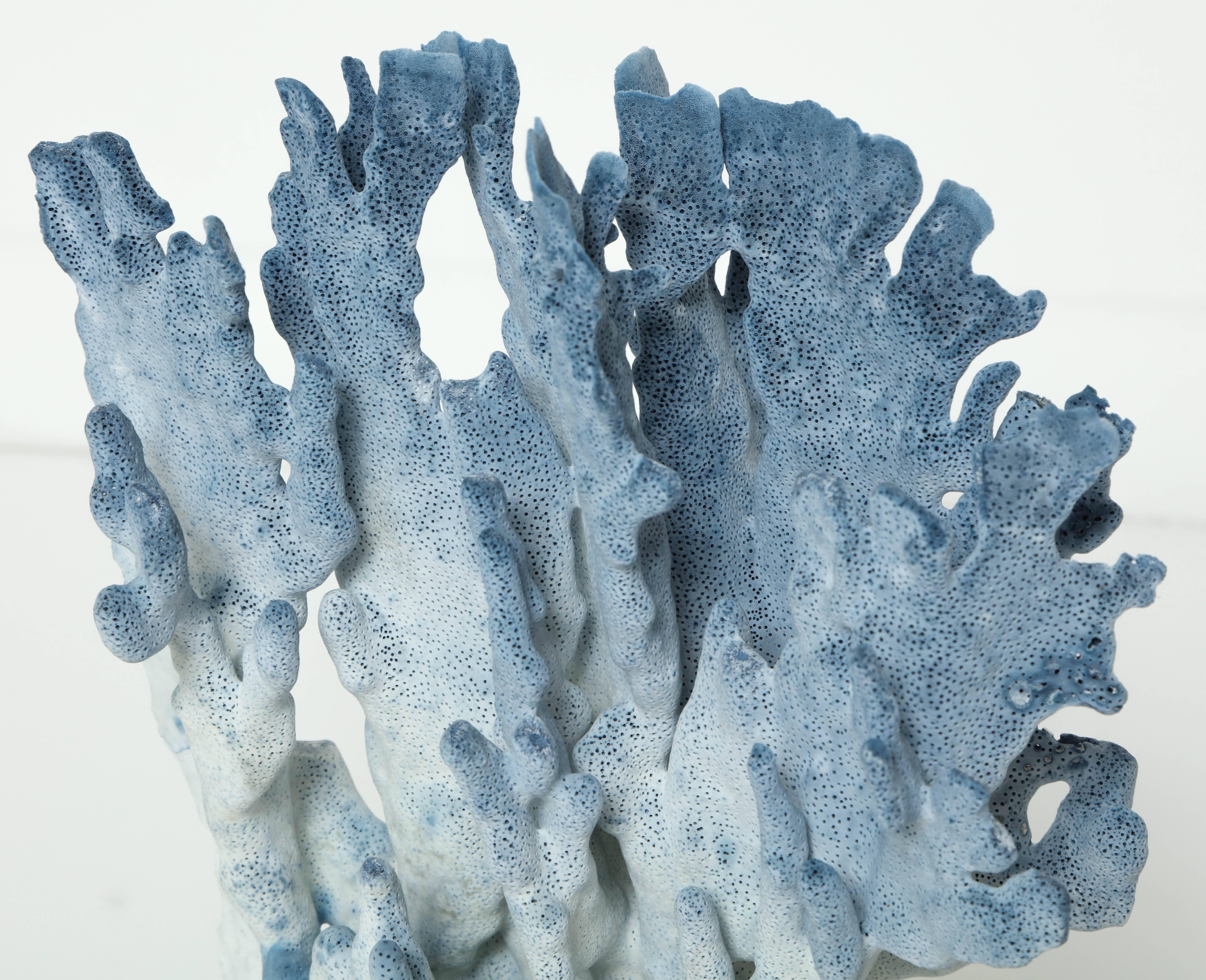 Modern Coral Sculpture, Blue
