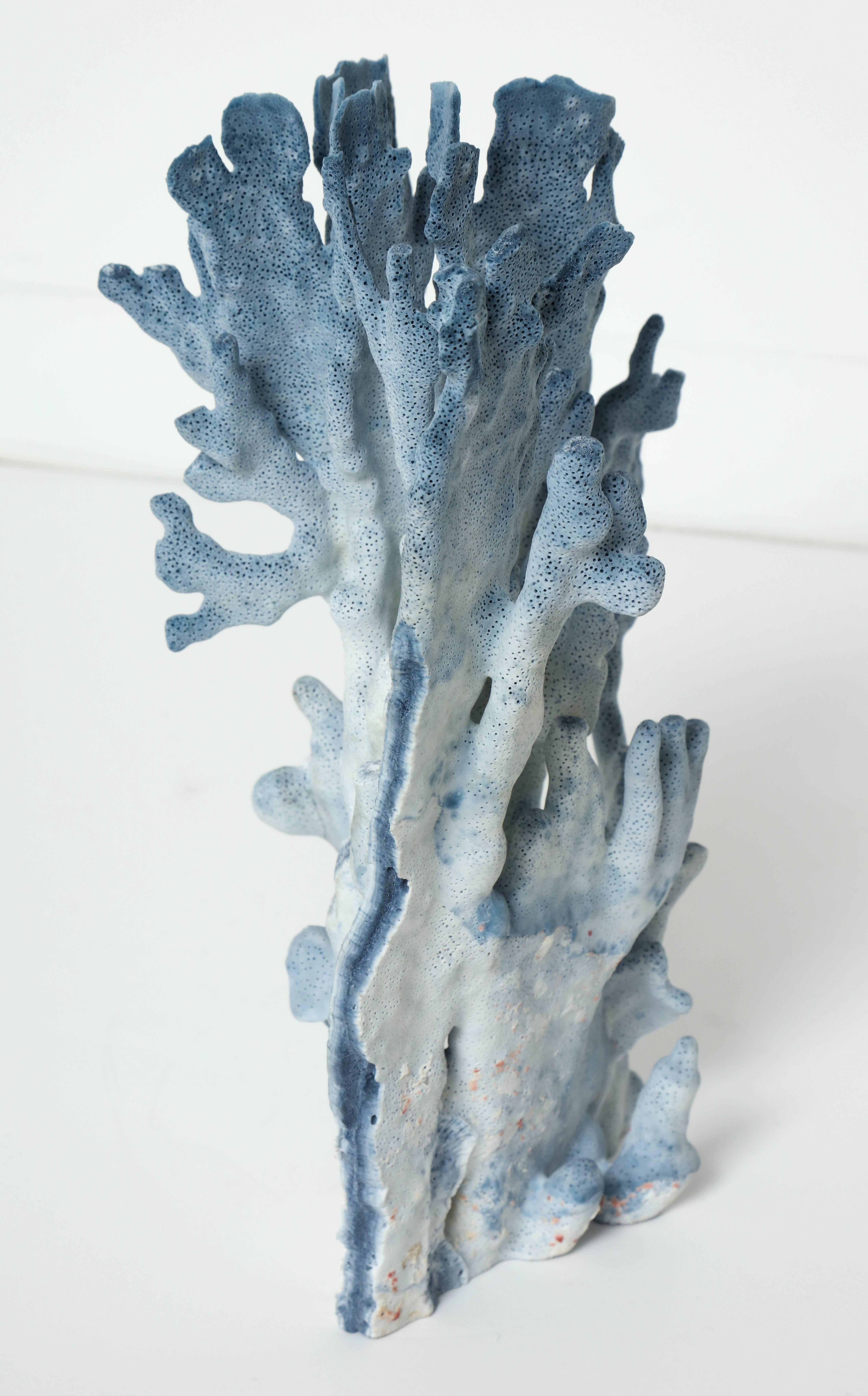 Contemporary Coral Sculpture, Blue