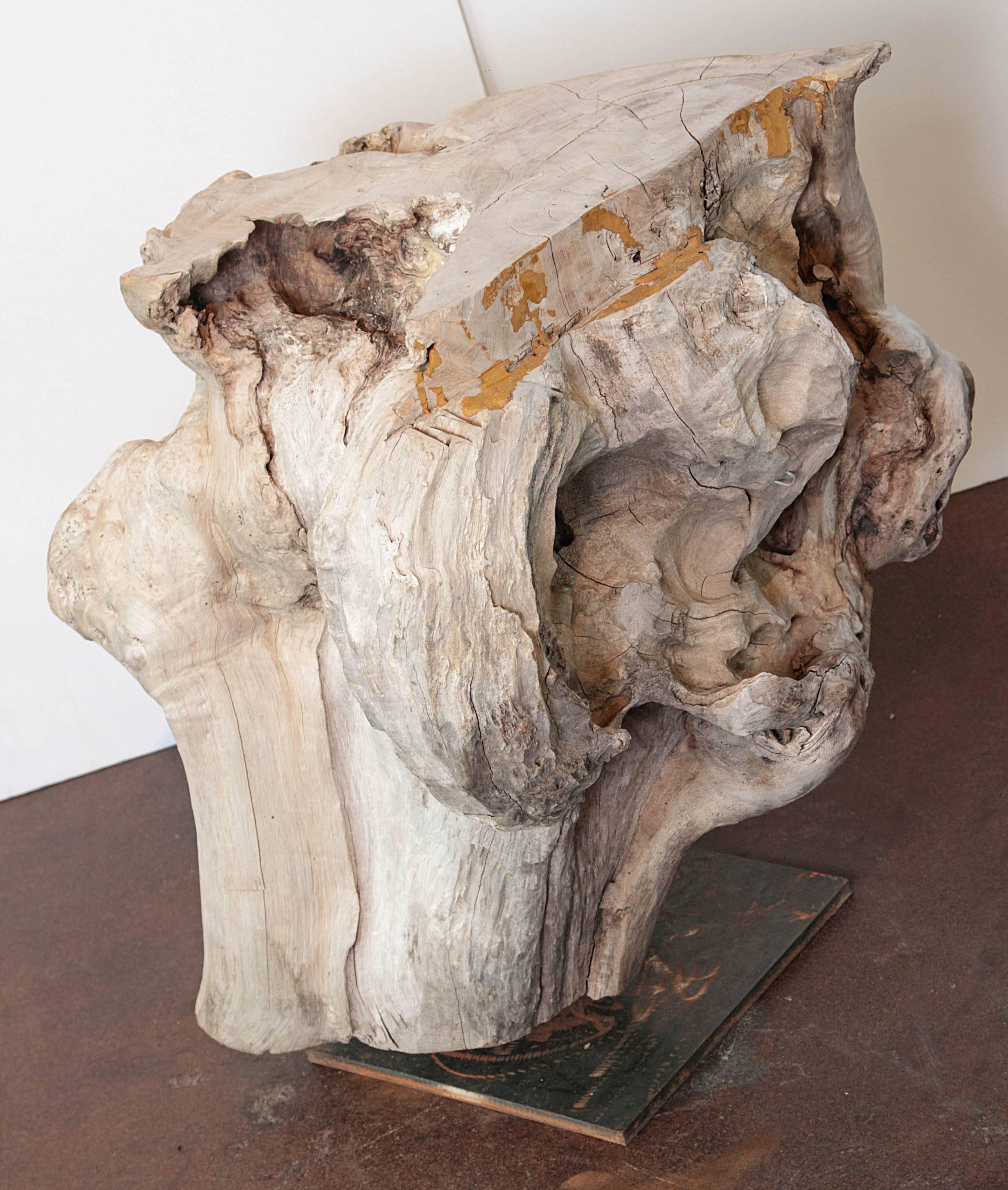 South Asian Organic Form Bleached Teak End Table on Iron Mount
