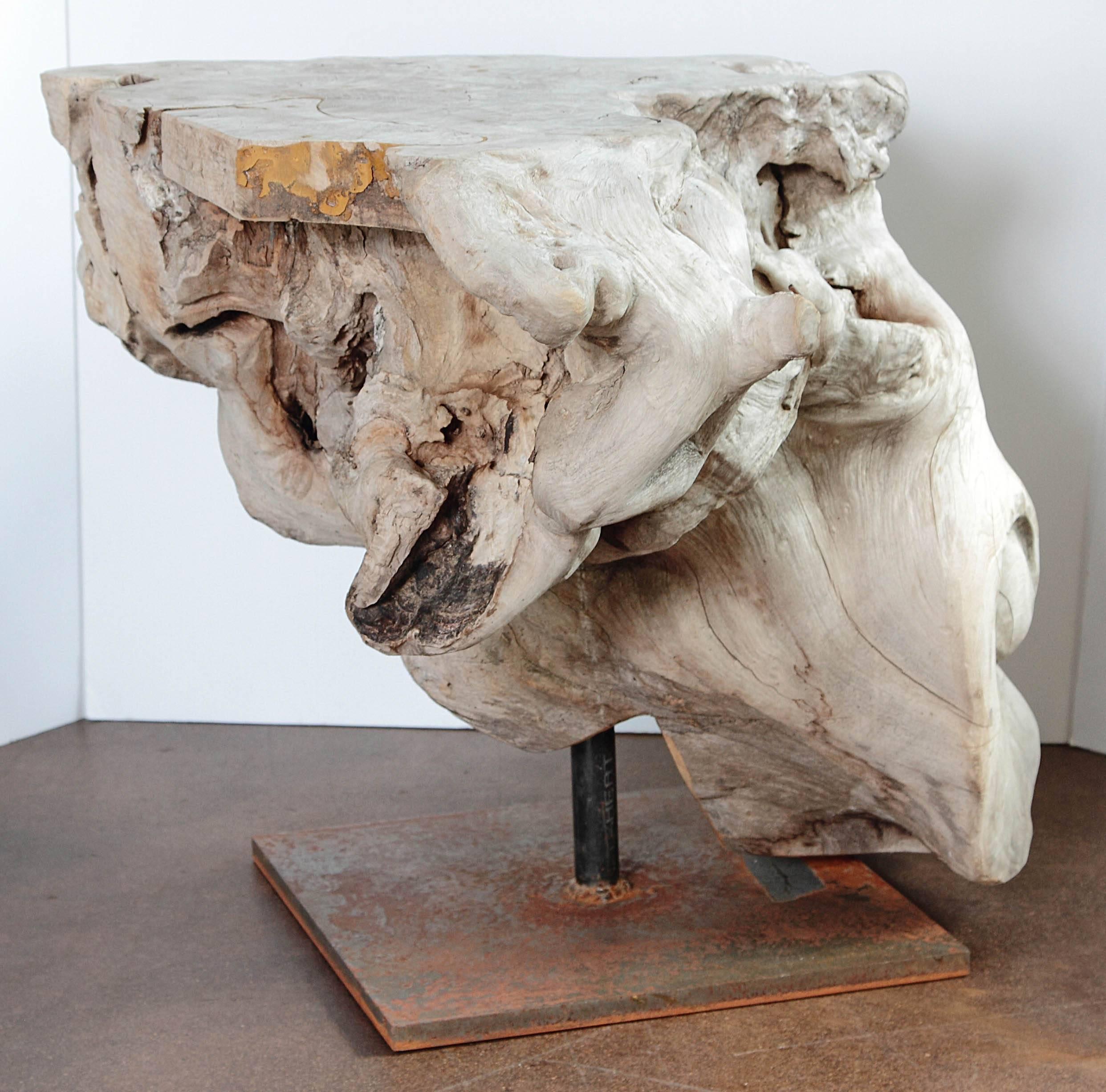 Patinated Organic Form Teak End Table