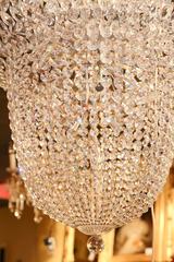 Schonbek Crystal Chandelier from the Trilliane Collection