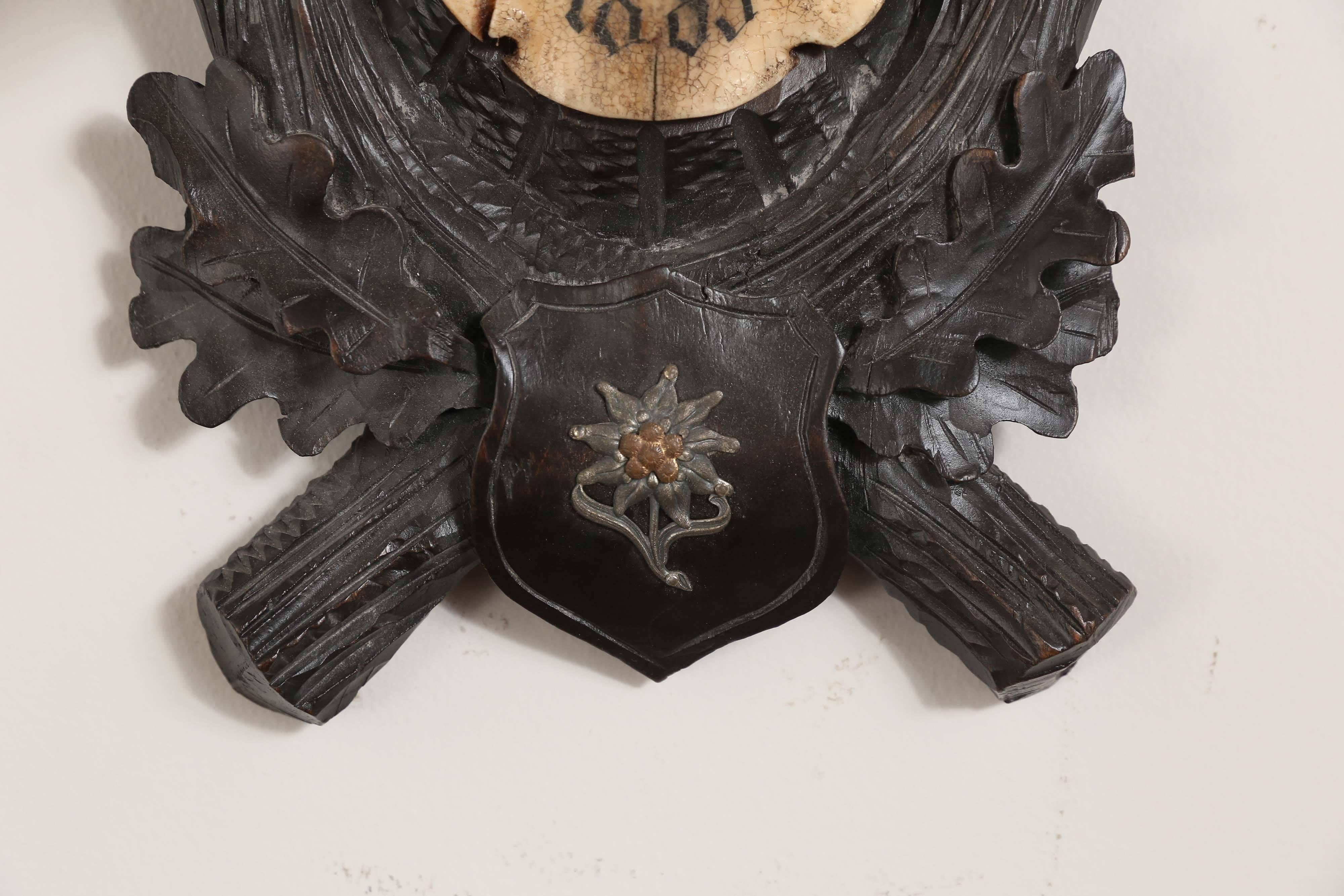 Habsburg Fallow Deer Trophy on Black Forest Plaque with Veteran's Medal In Excellent Condition In Houston, TX