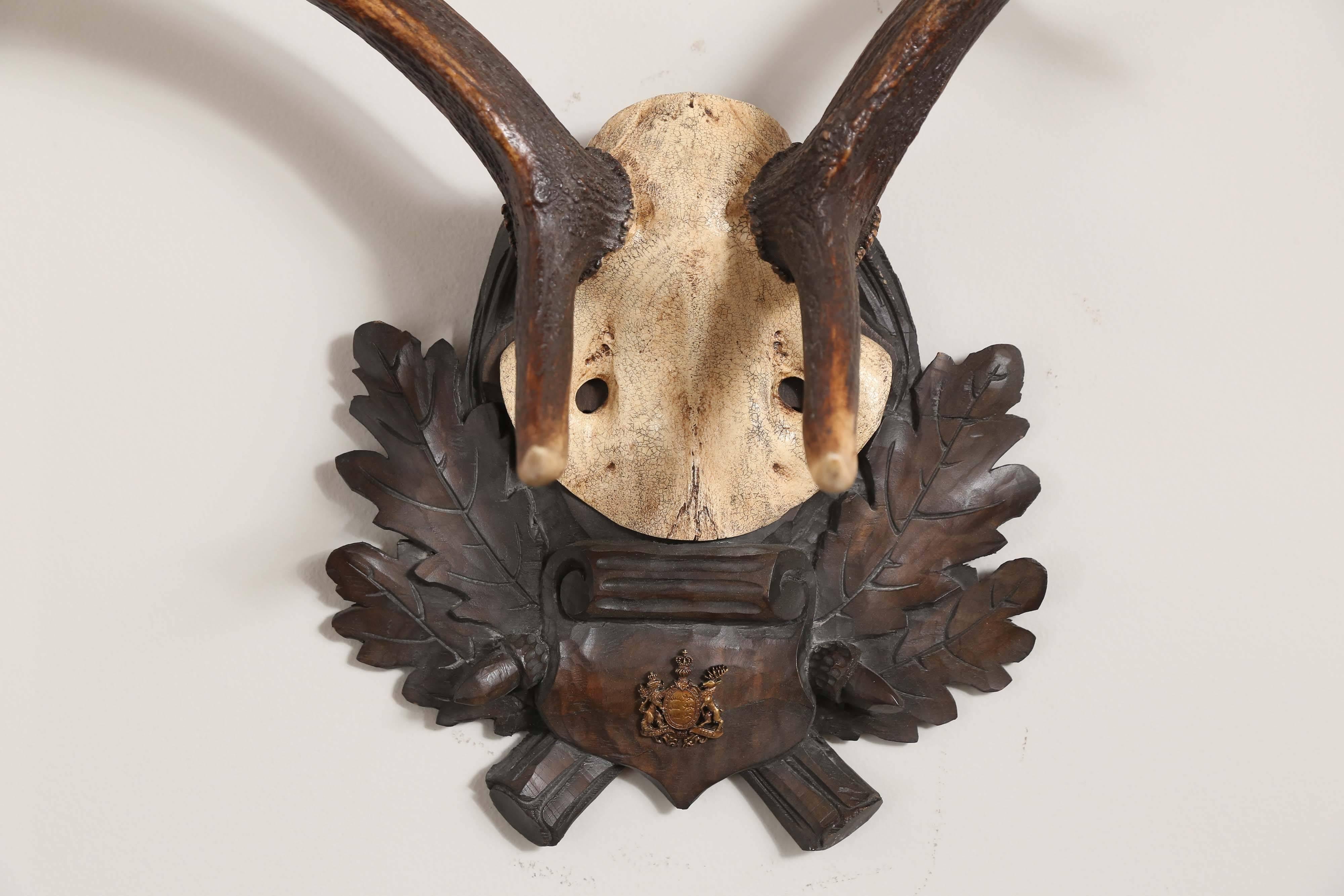 This is a 19th century German fallow deer trophy on an original, hand-carved Black Forest plaque with the original badge of Ko¨nig (King) Wilhelm of Württemberg, Germany.

Plaque measures approximately 11