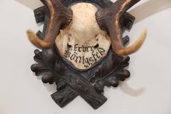 19th Century Habsburg Fallow Deer Trophy on Black Forest Plaque
