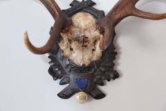19th Century Habsburg Fallow Deer "E" Trophy & Medal from Eckartsau Castle