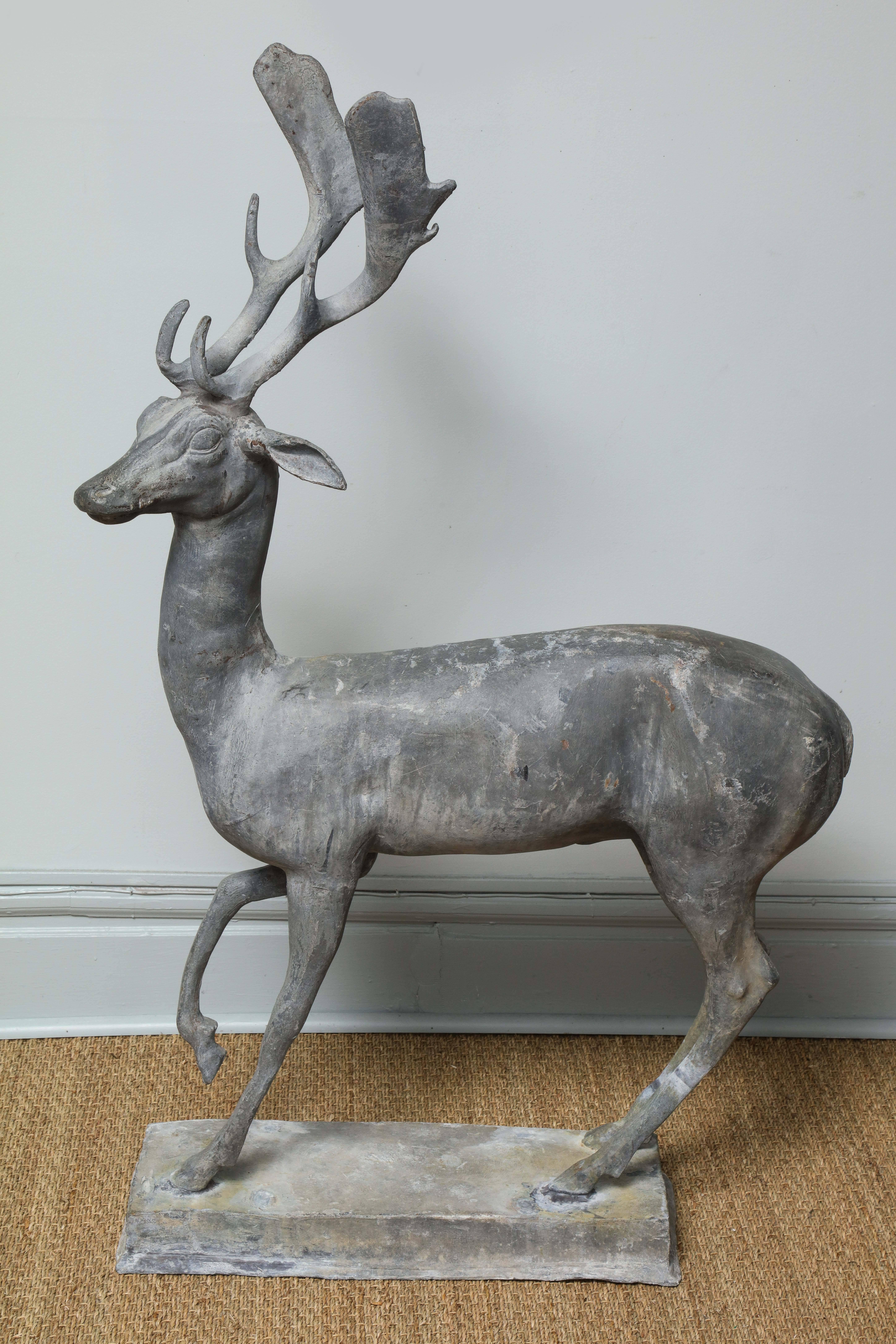 An enchanted stag captured in mid-stride. He has a whimsical expression on his turned face, alert ears and is standing in a watchful pose with a raised right front paw. This is a very rare 18th century English garden statue in heavy lead. It is